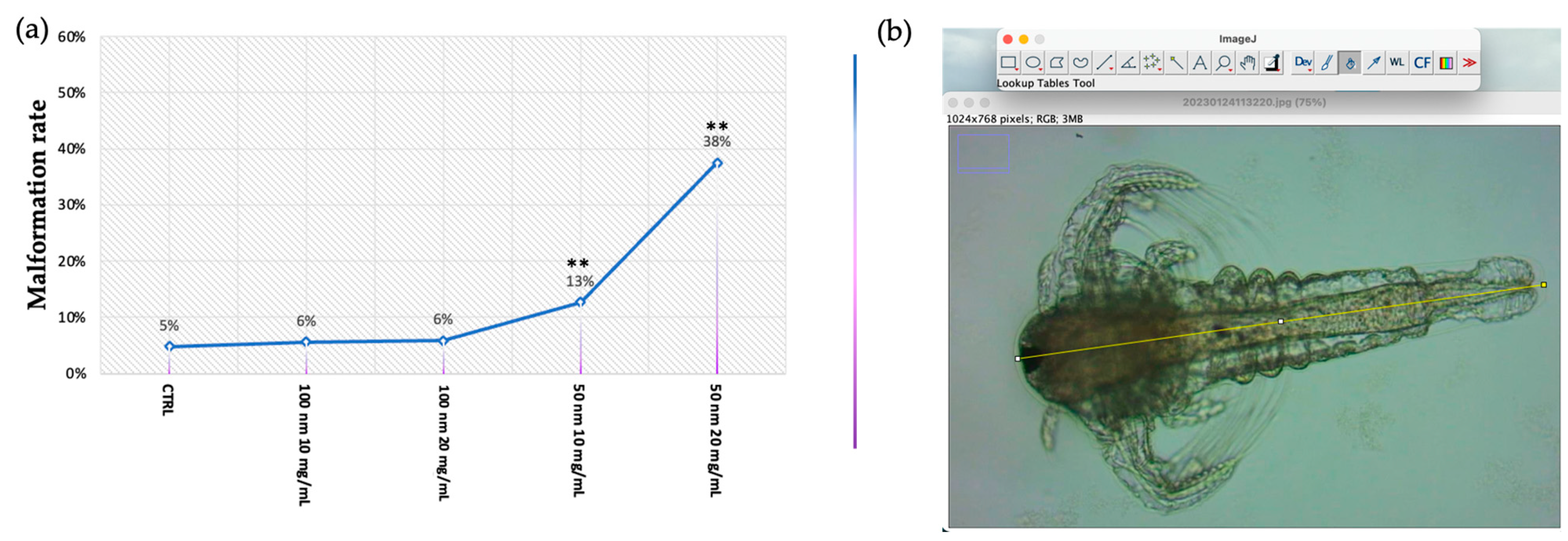 Animals 13 03152 g006