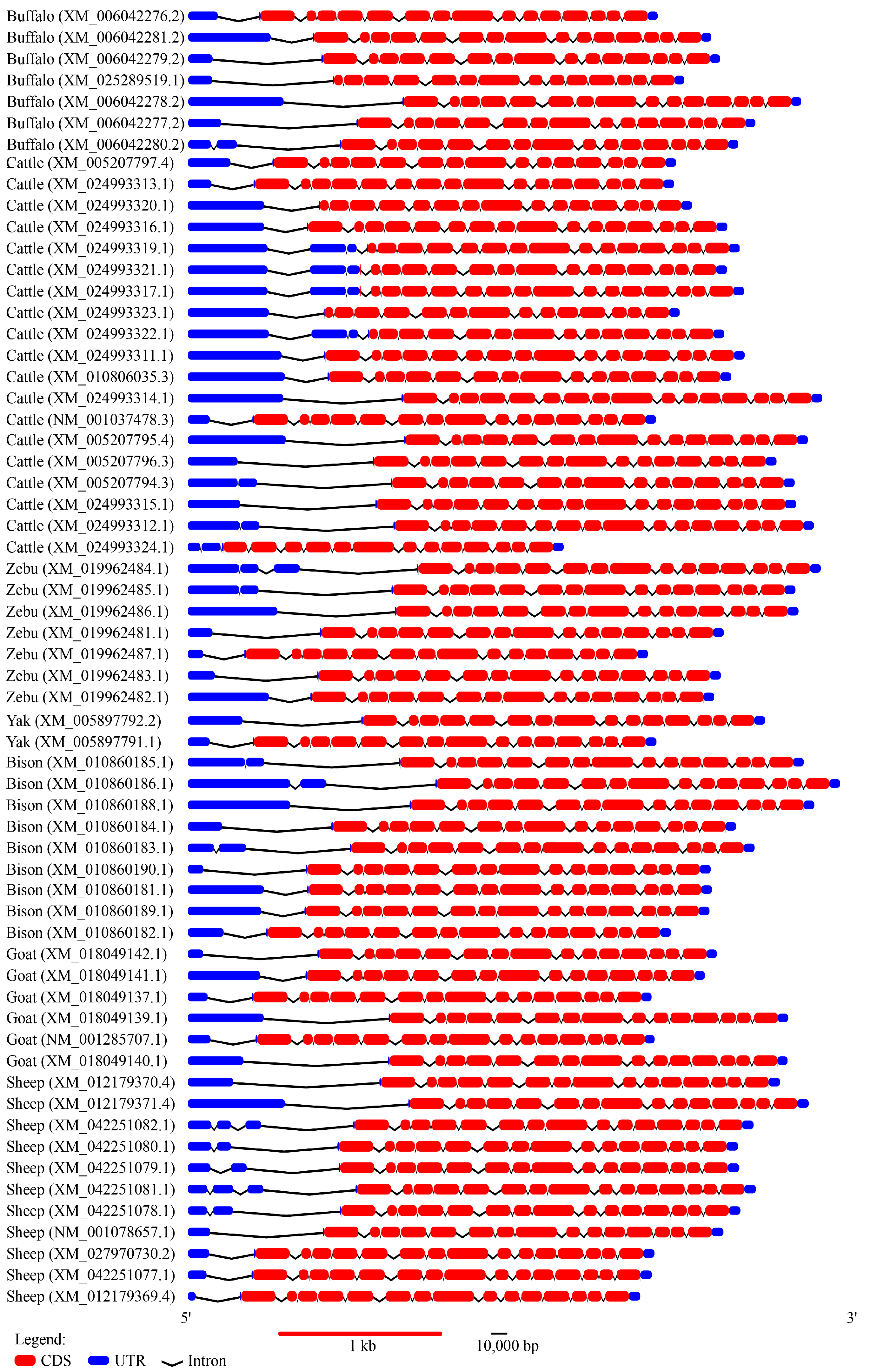 Animals 13 03156 g001