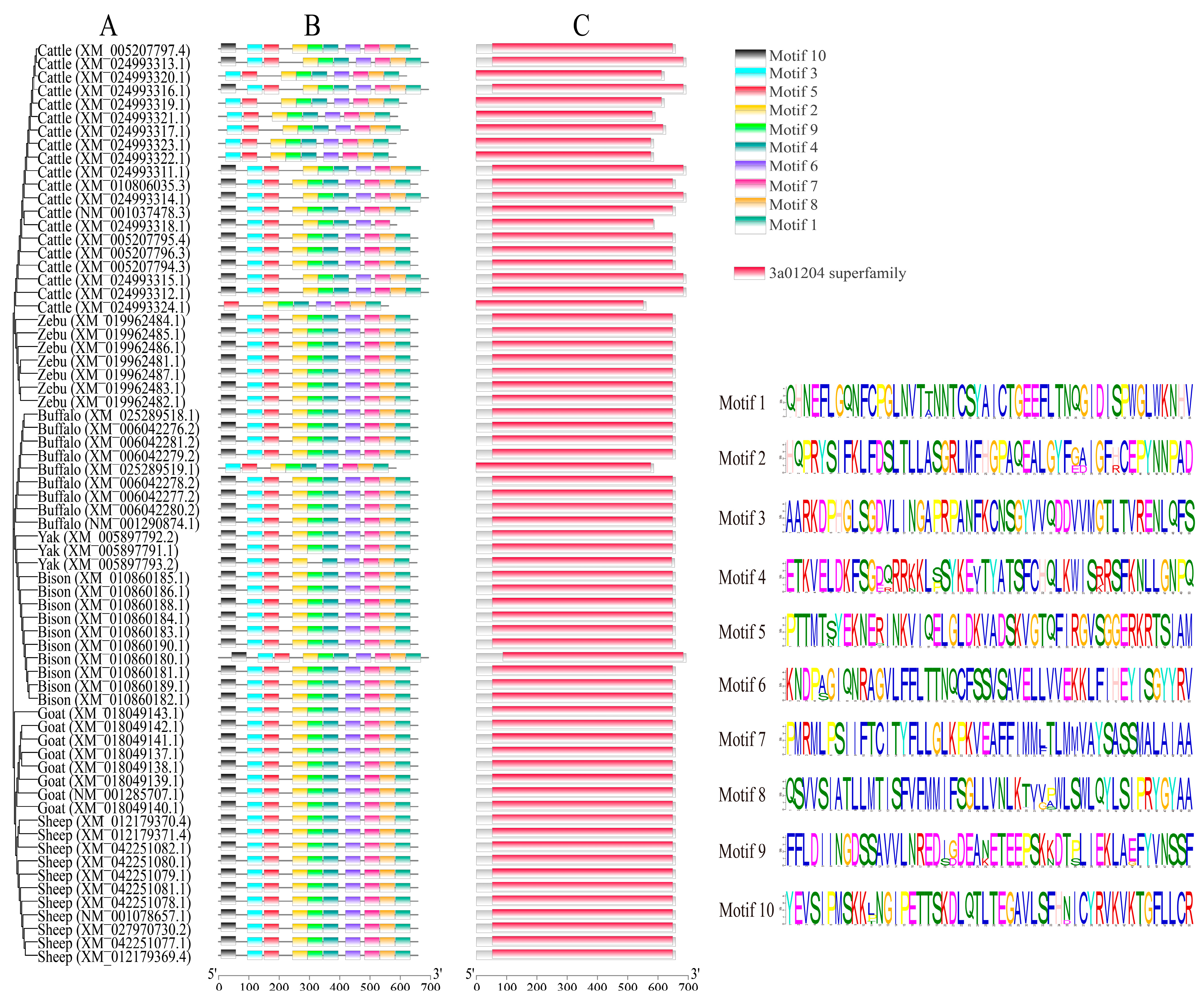Animals 13 03156 g002