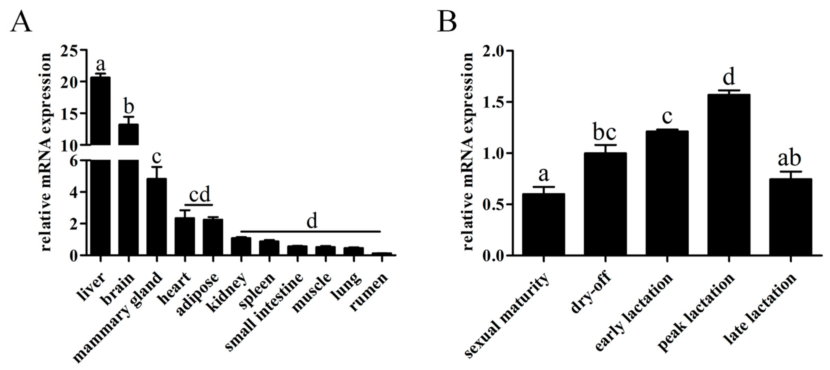 Animals 13 03156 g003
