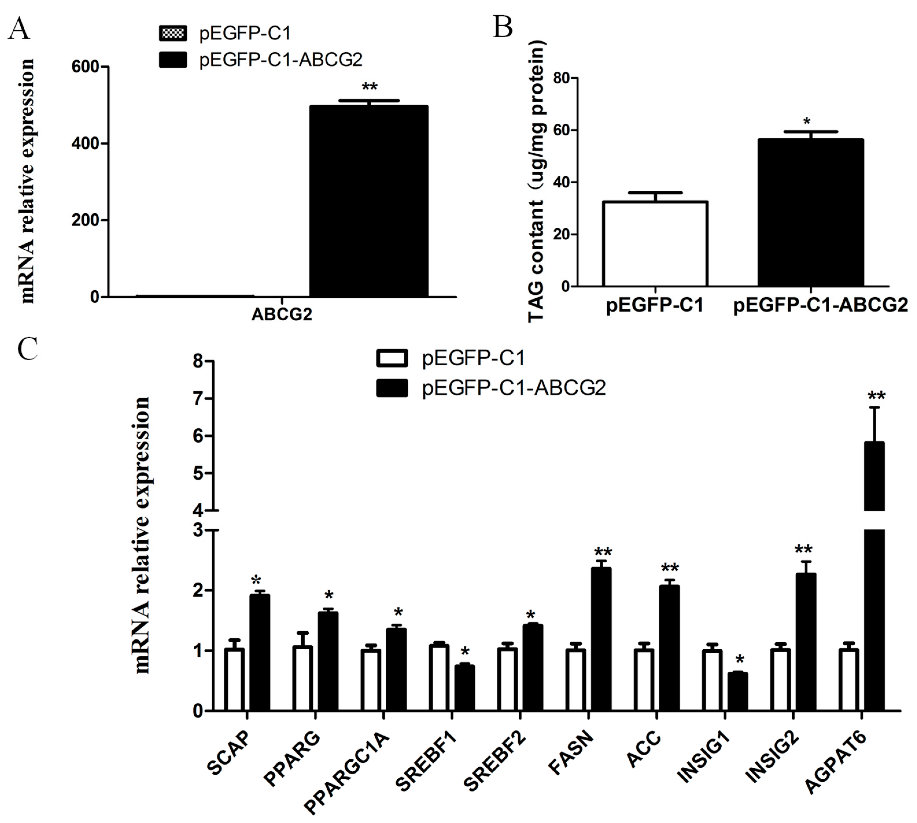 Animals 13 03156 g005