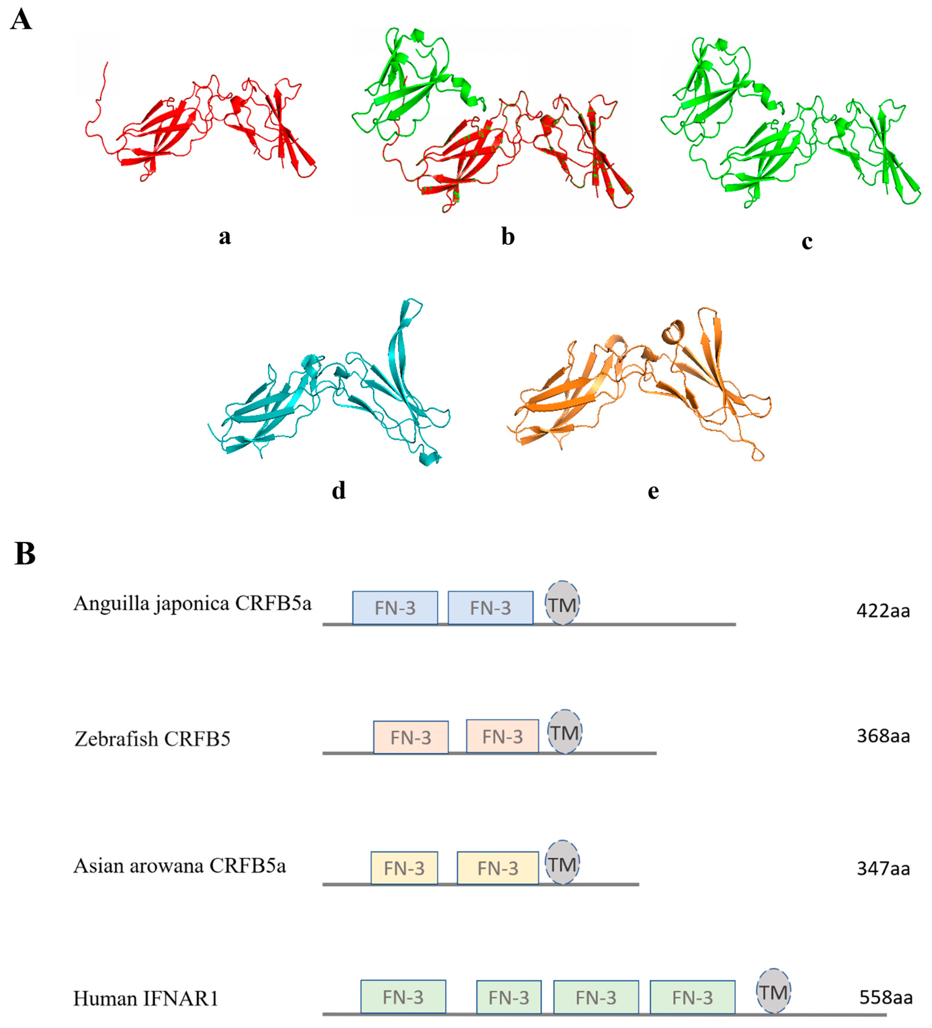 Animals 13 03157 g003