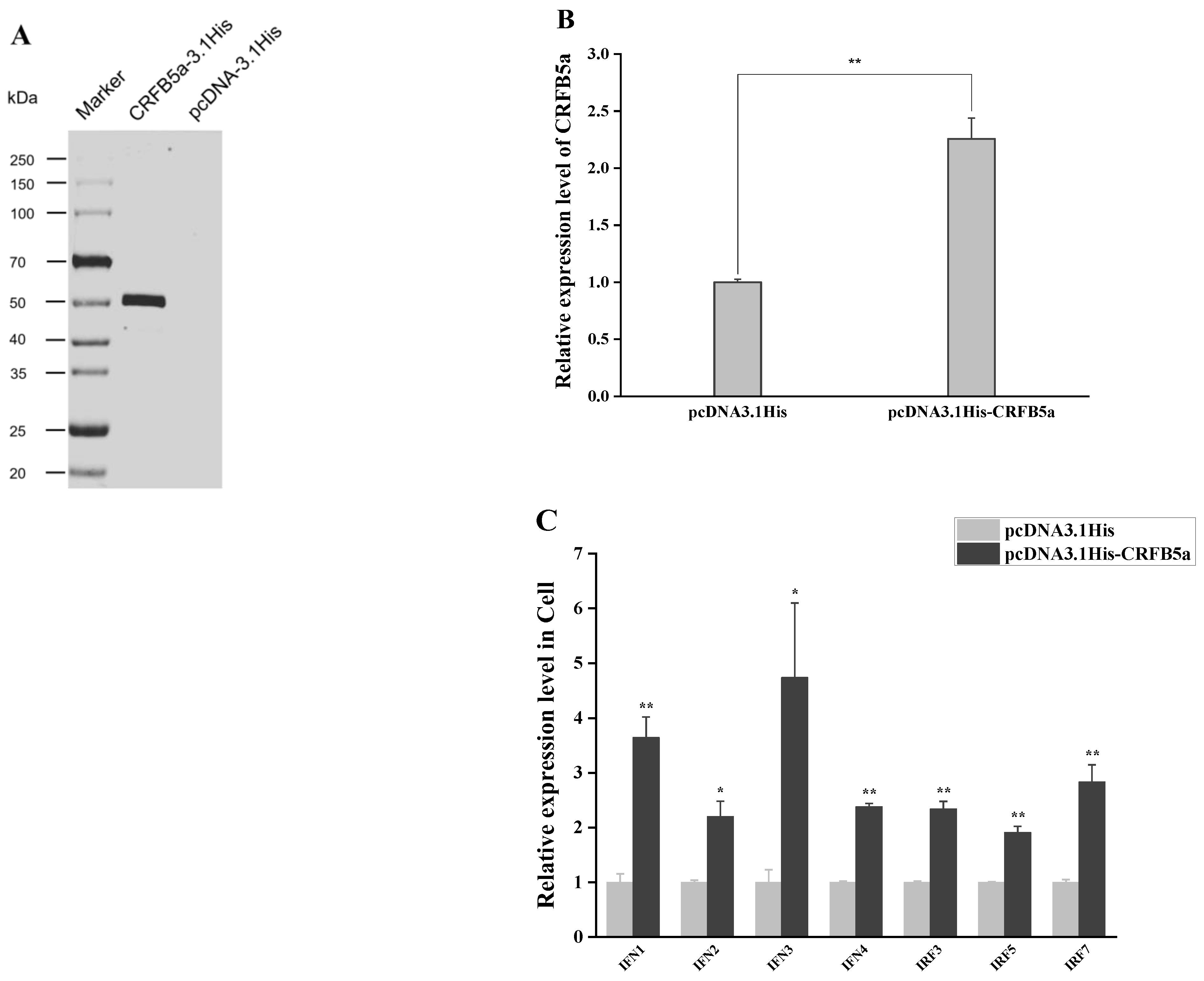 Animals 13 03157 g010