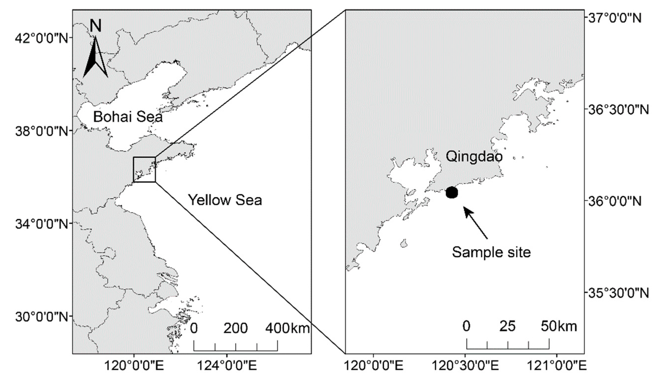 Animals 13 03159 g001 Animals 13 03159 g001