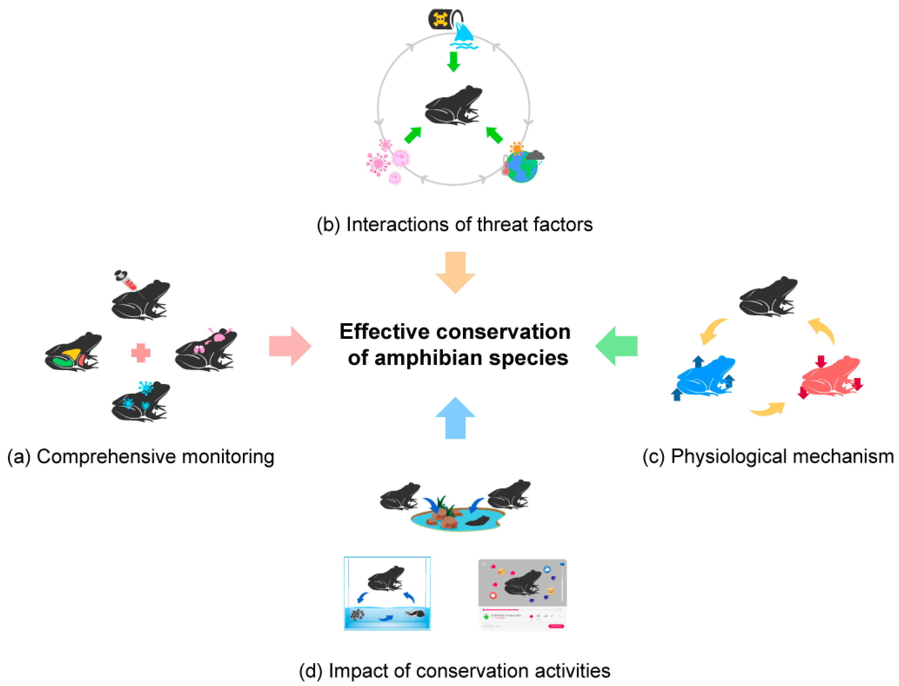 Animals 13 03162 g006