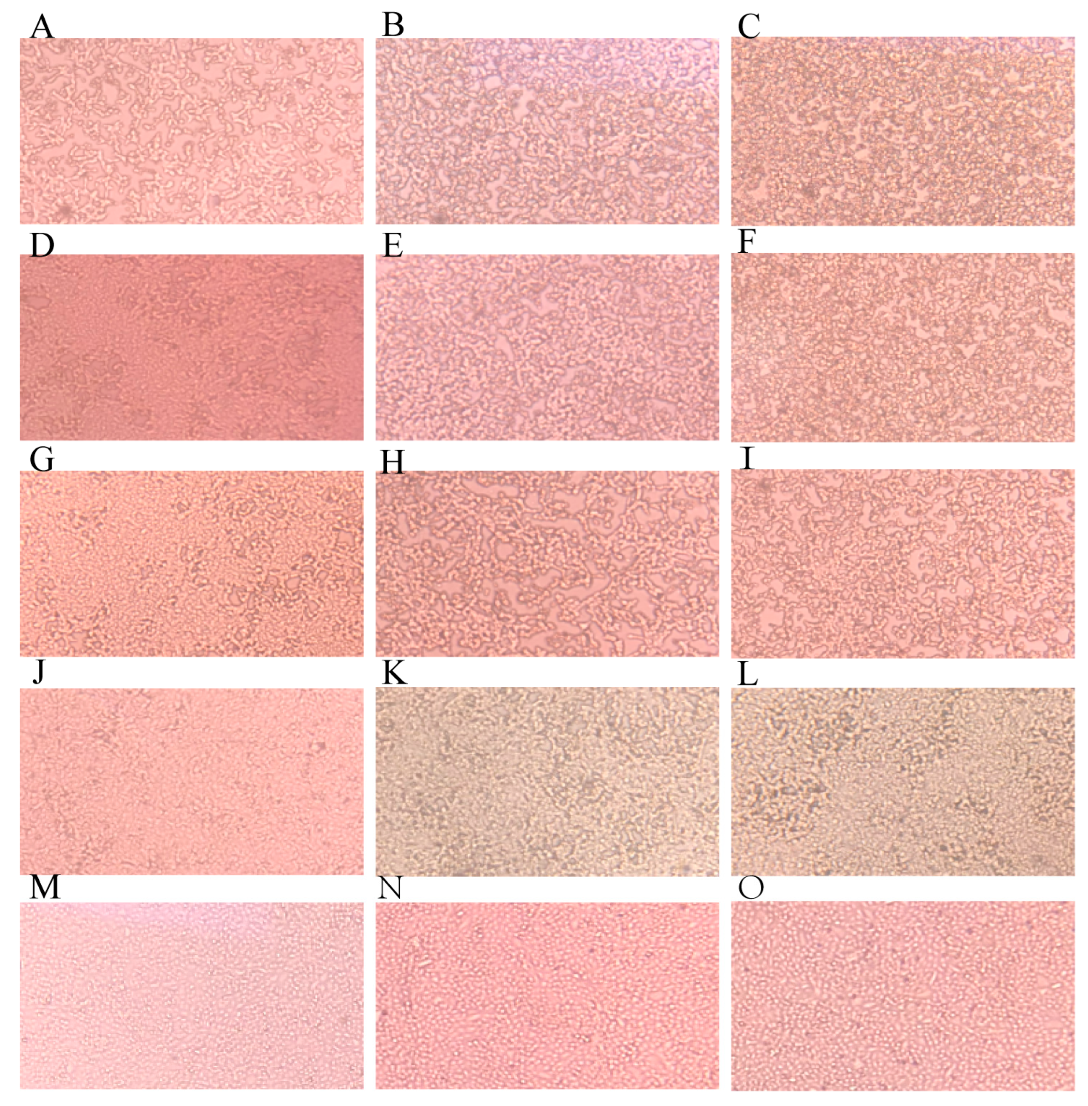 Animals 13 03164 g001