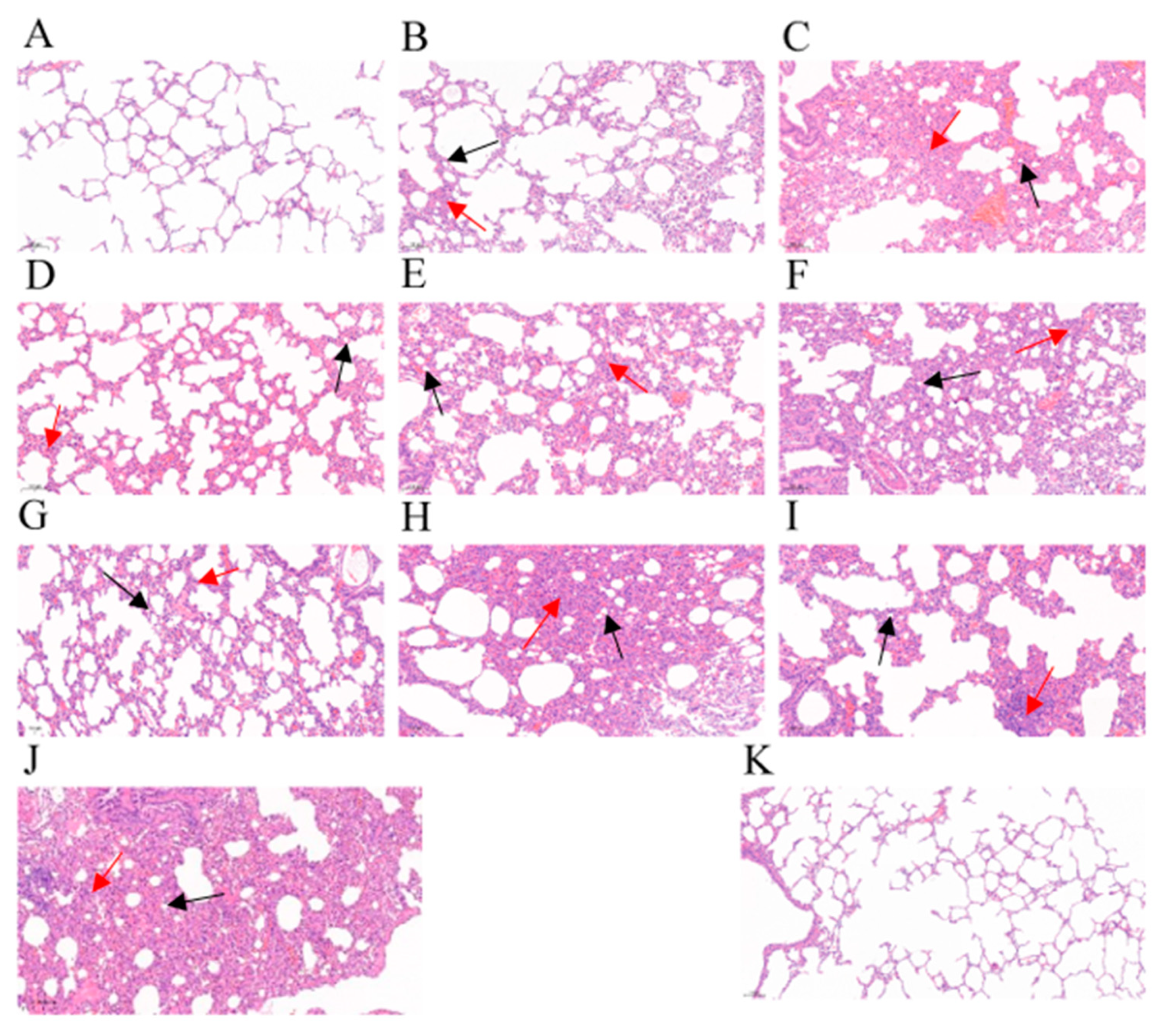 Animals 13 03164 g005