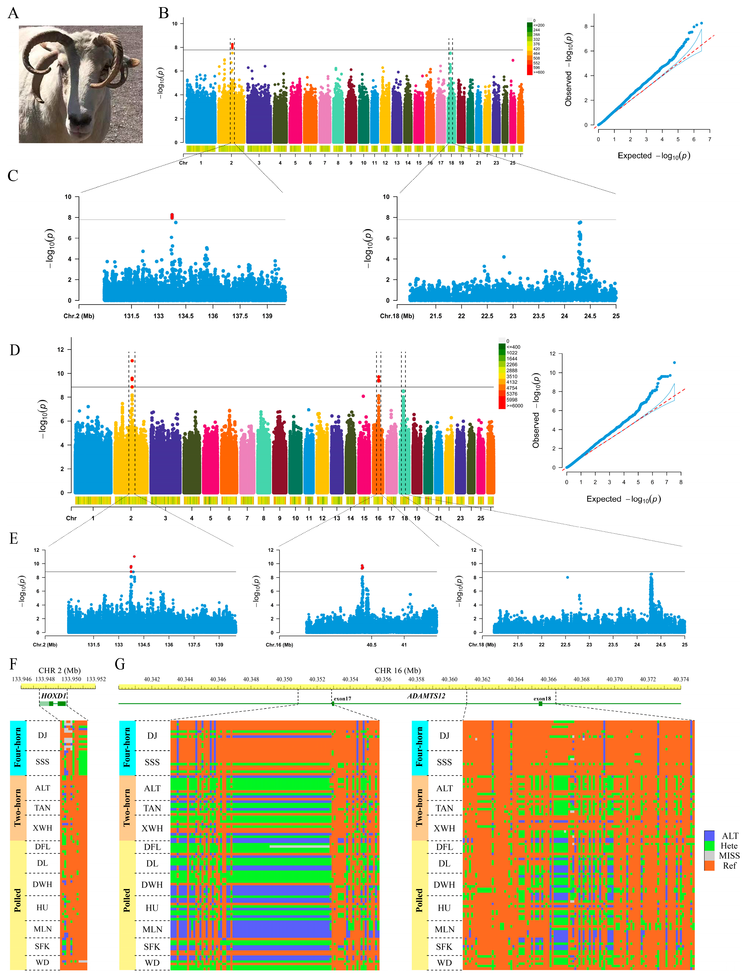 Animals 13 03166 g001