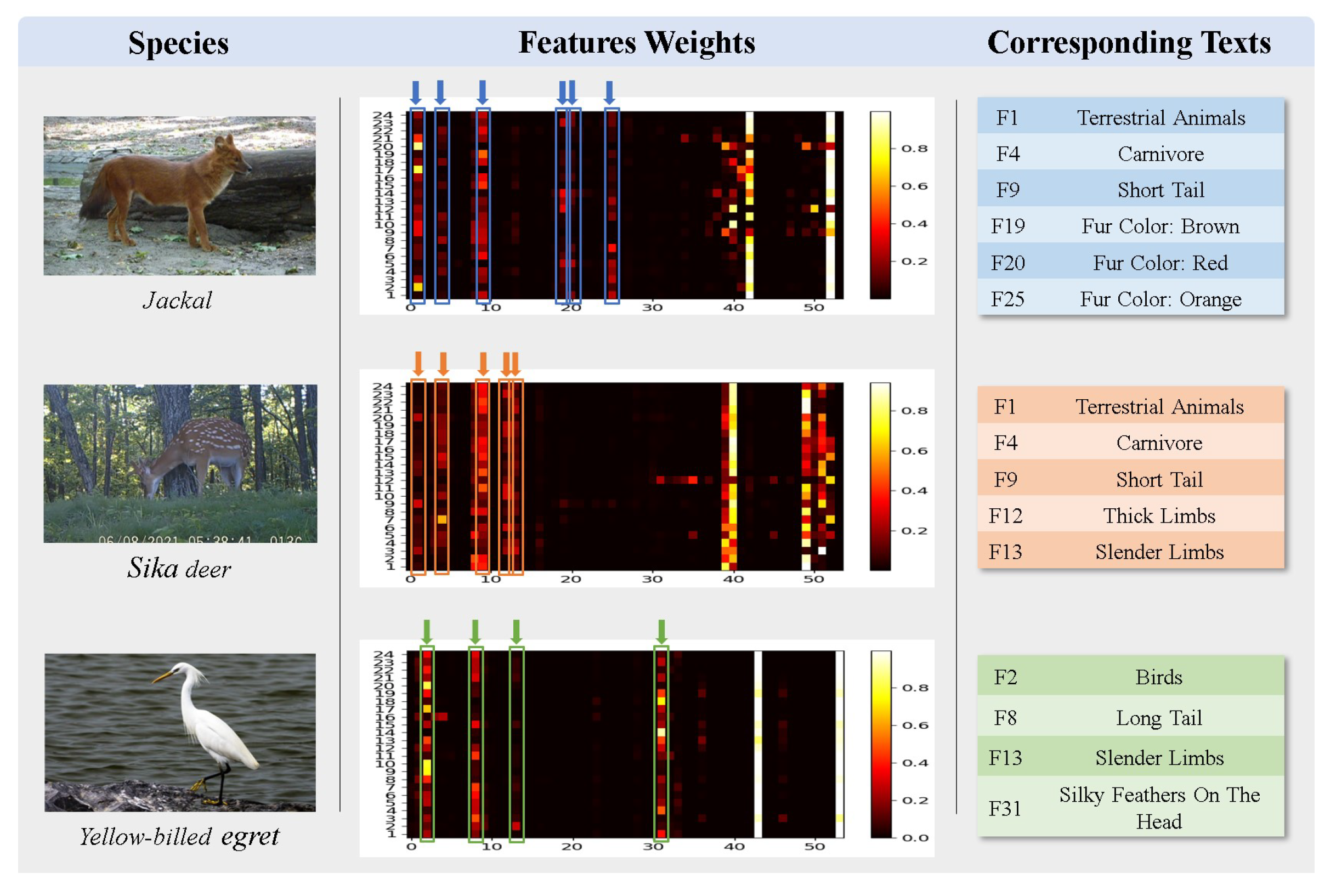 Animals 13 03168 g012