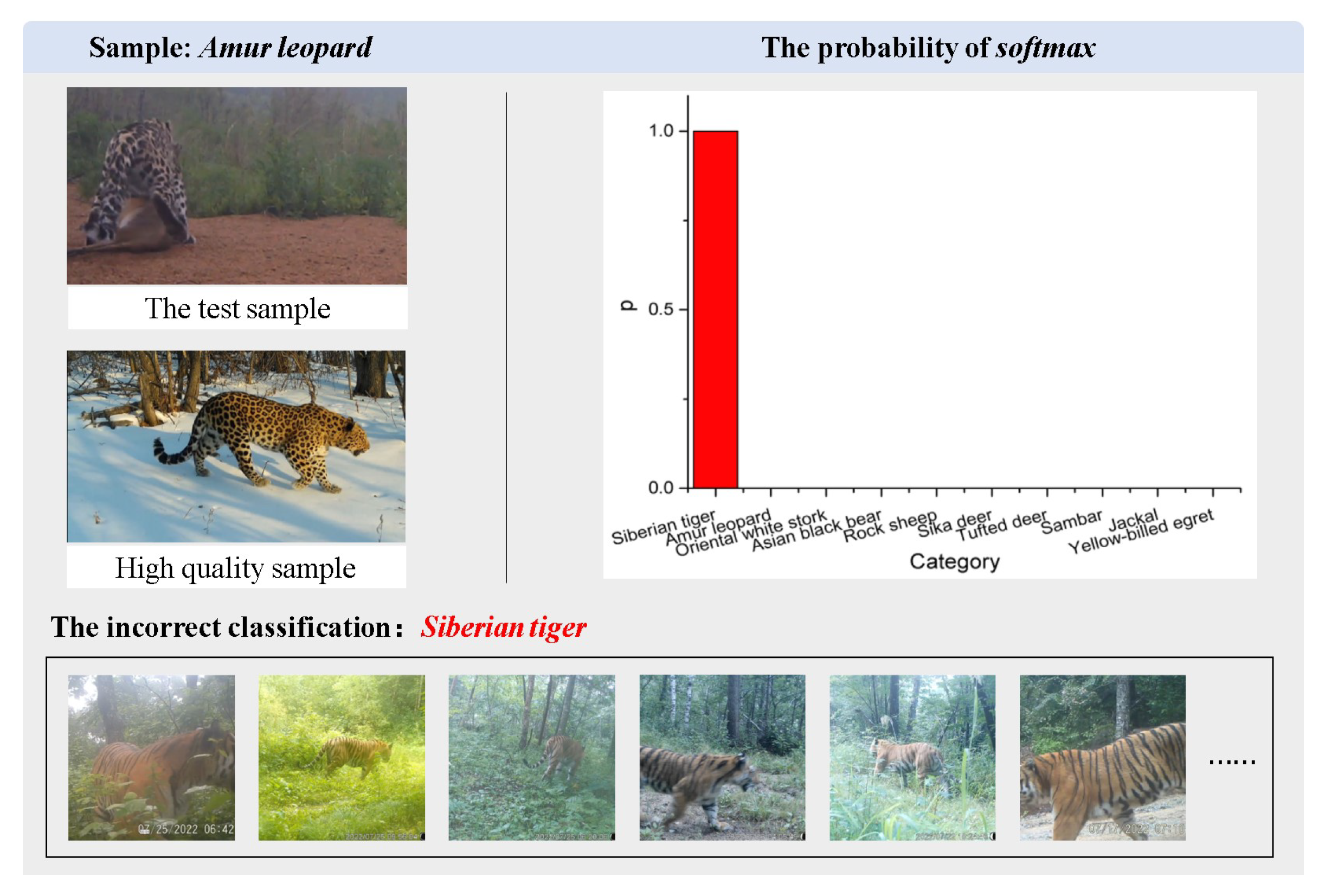 Animals 13 03168 g014