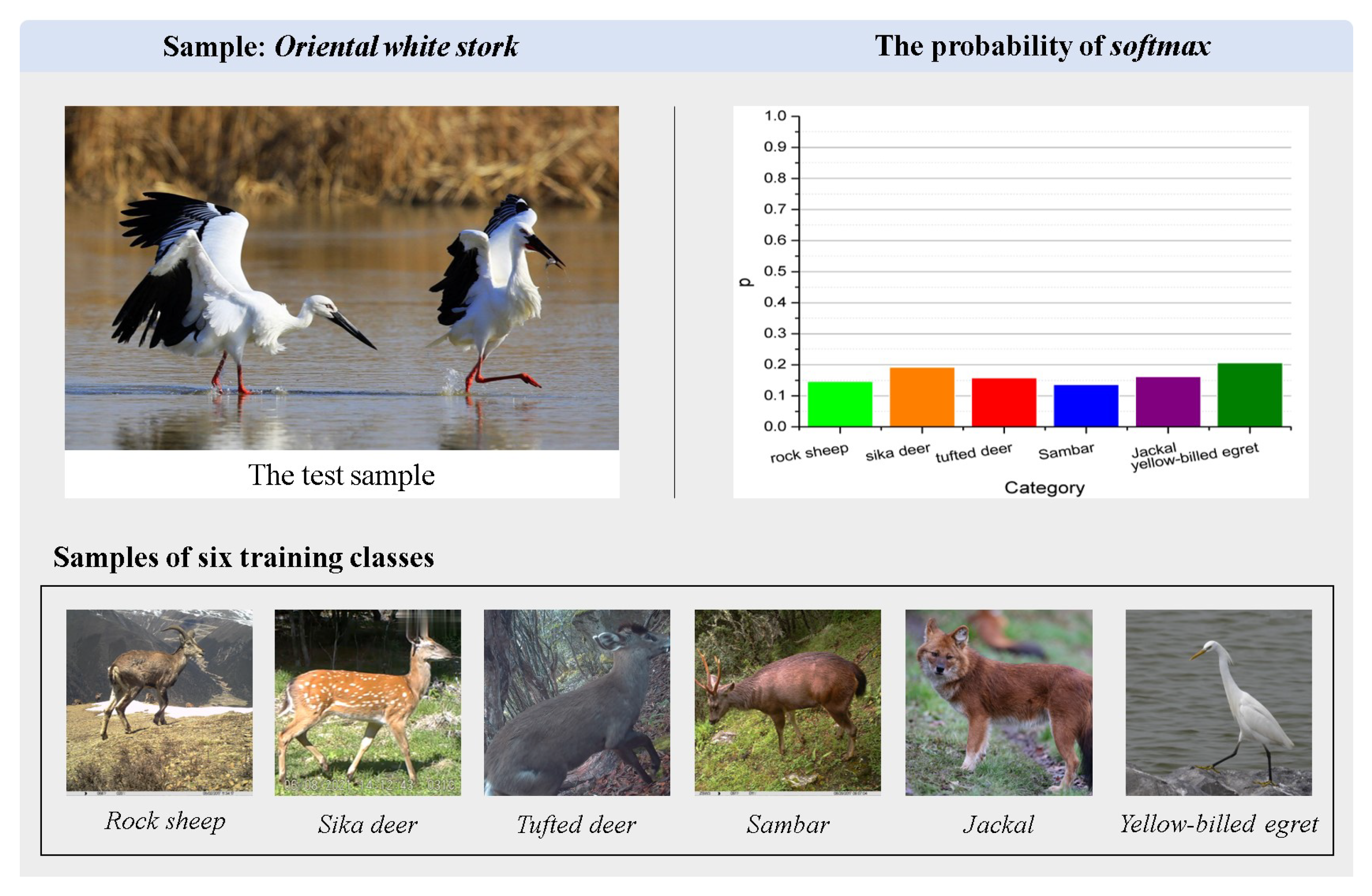 Animals 13 03168 g015