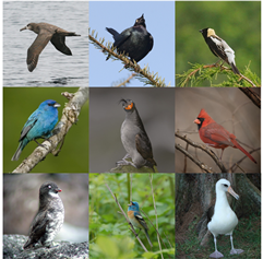 Animals 13 03168 i001