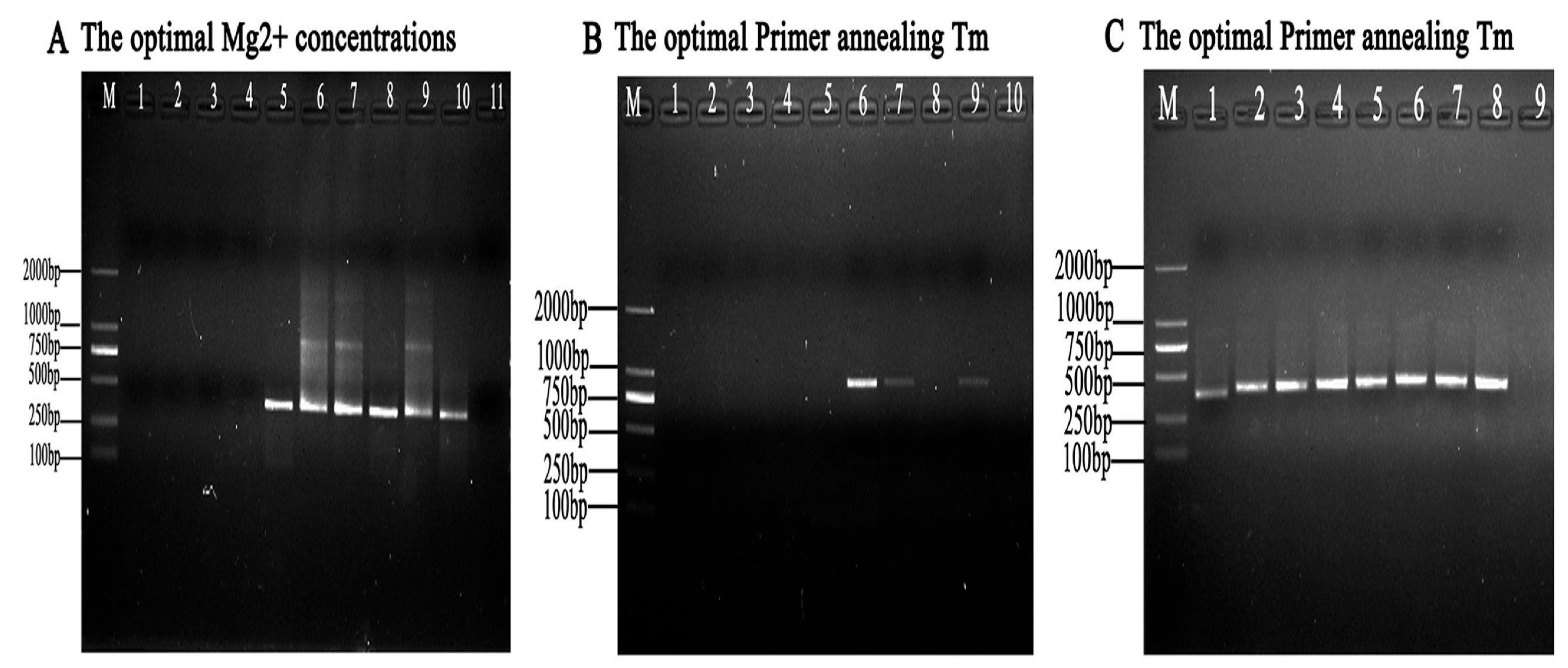 Animals 13 03177 g004
