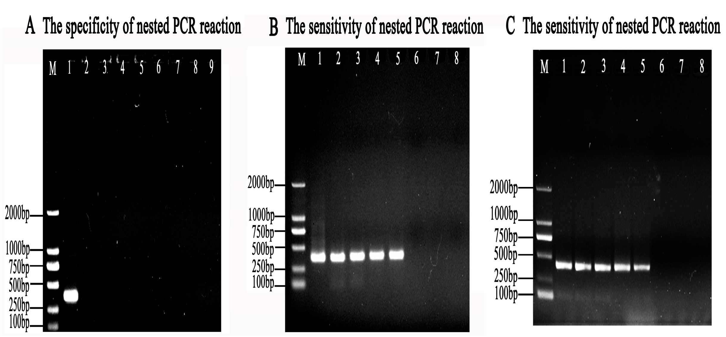 Animals 13 03177 g005