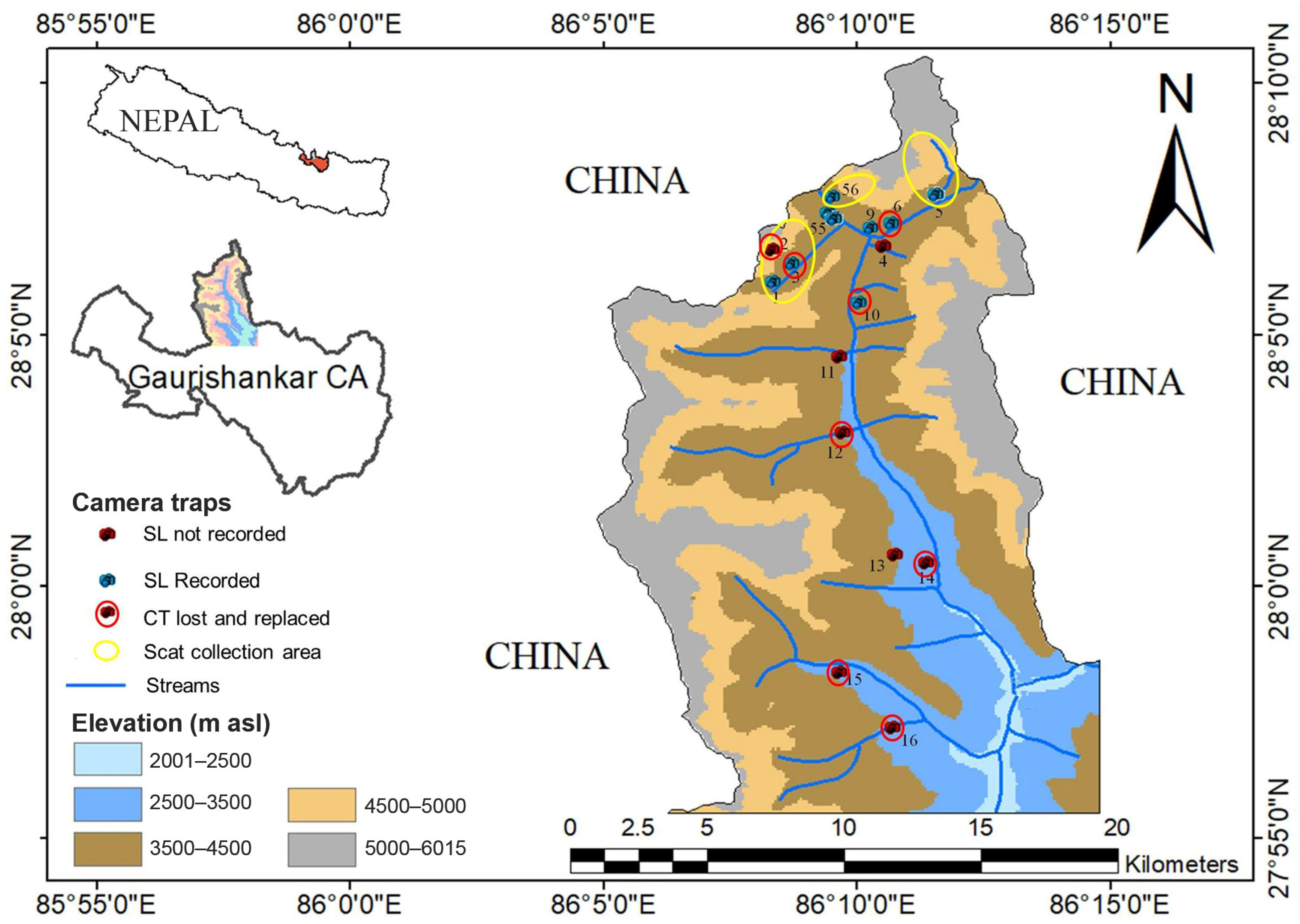 Animals 13 03182 g001