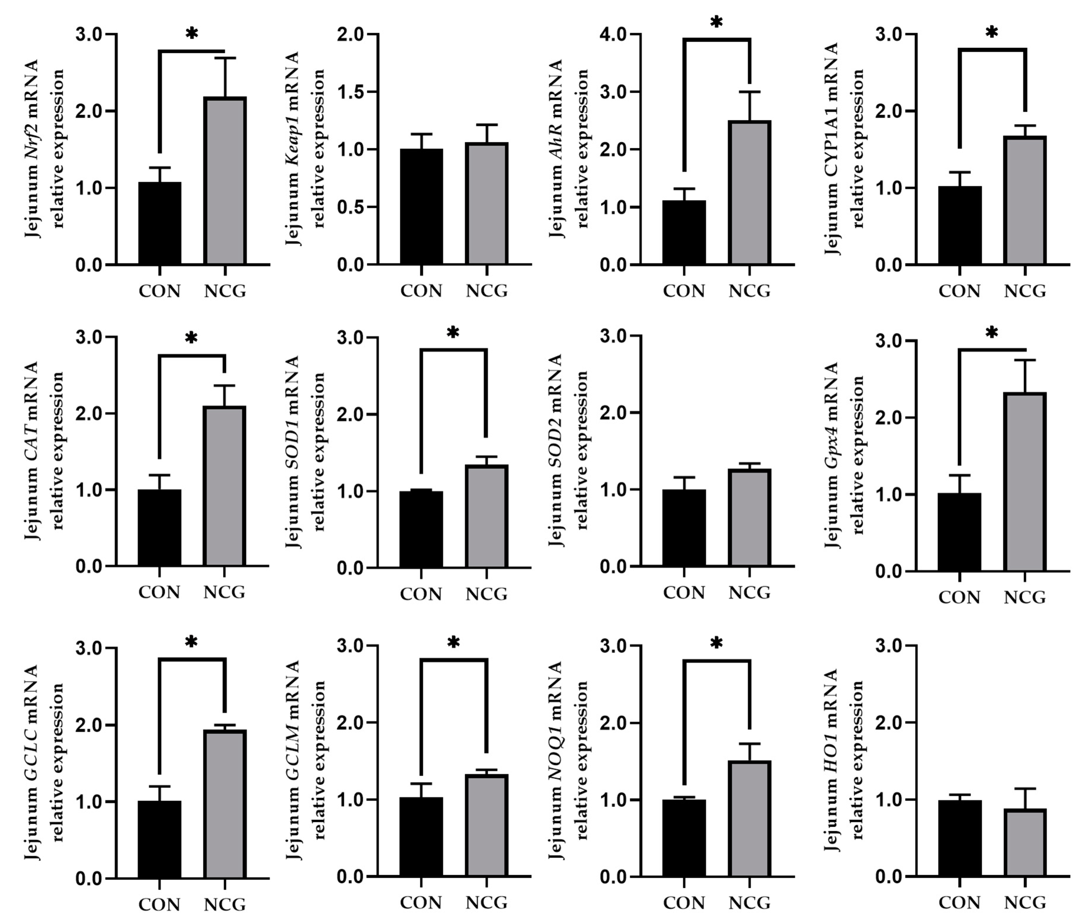 Animals 13 03183 g003