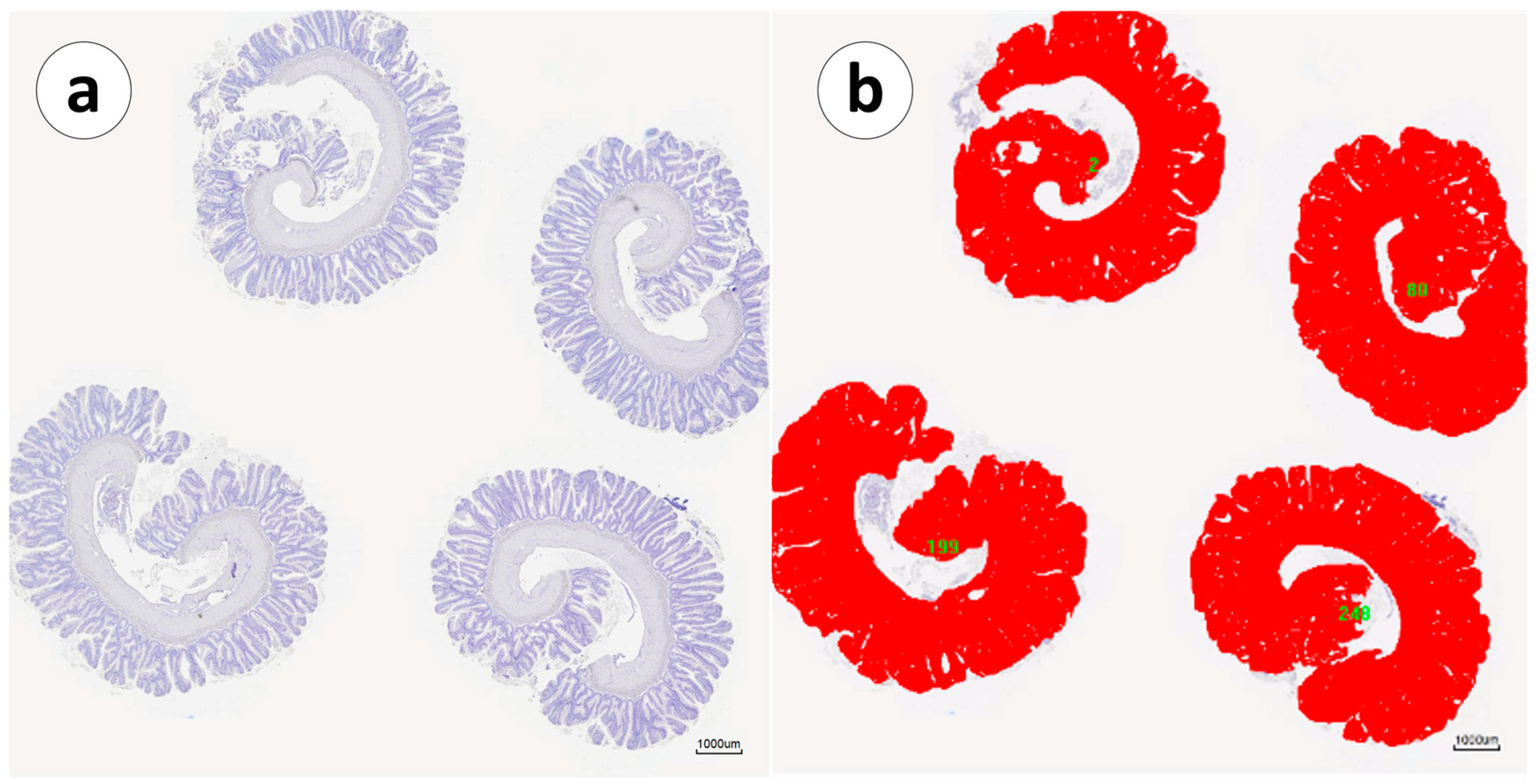 Animals 13 03191 g001