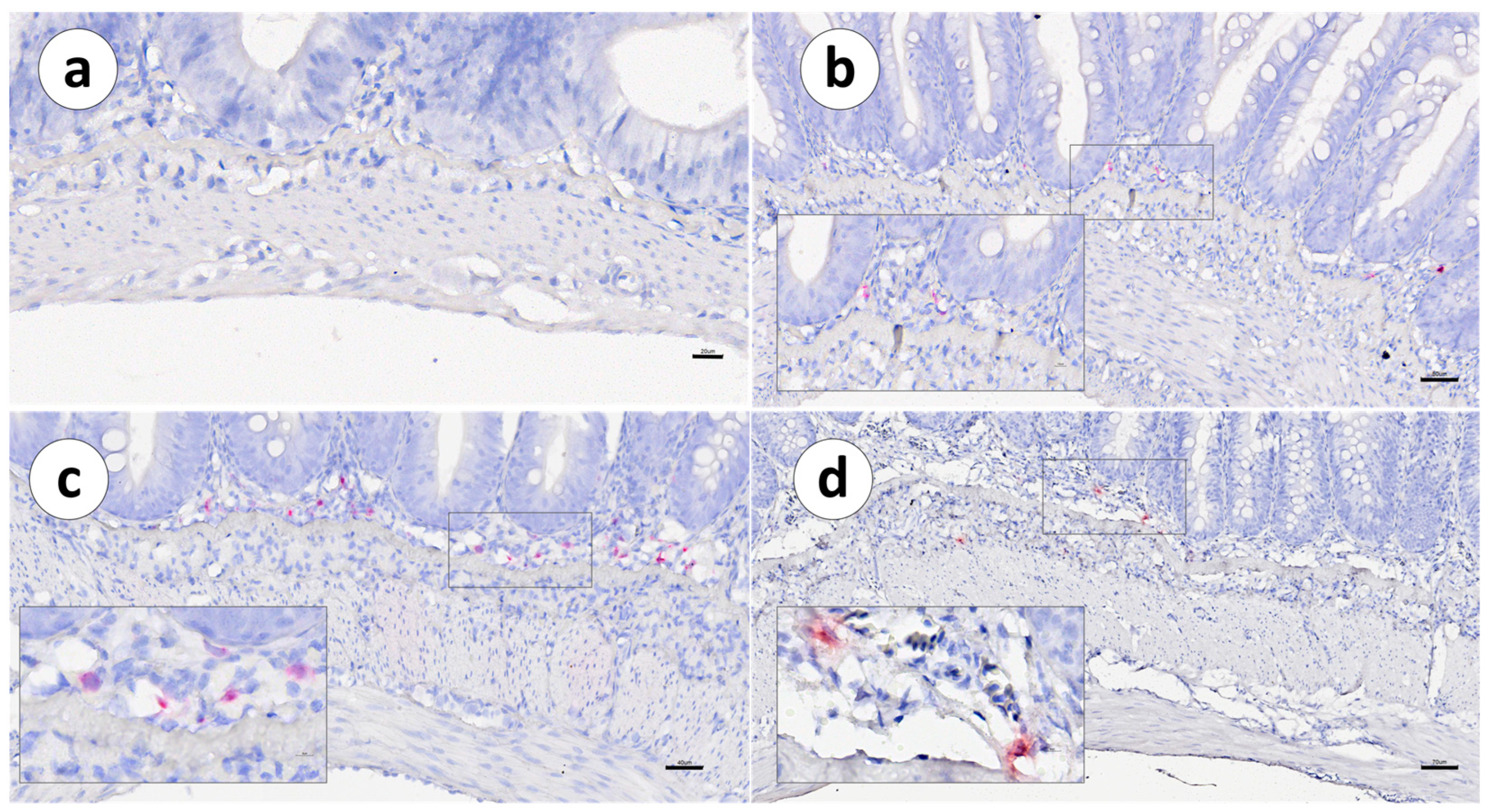 Animals 13 03191 g003