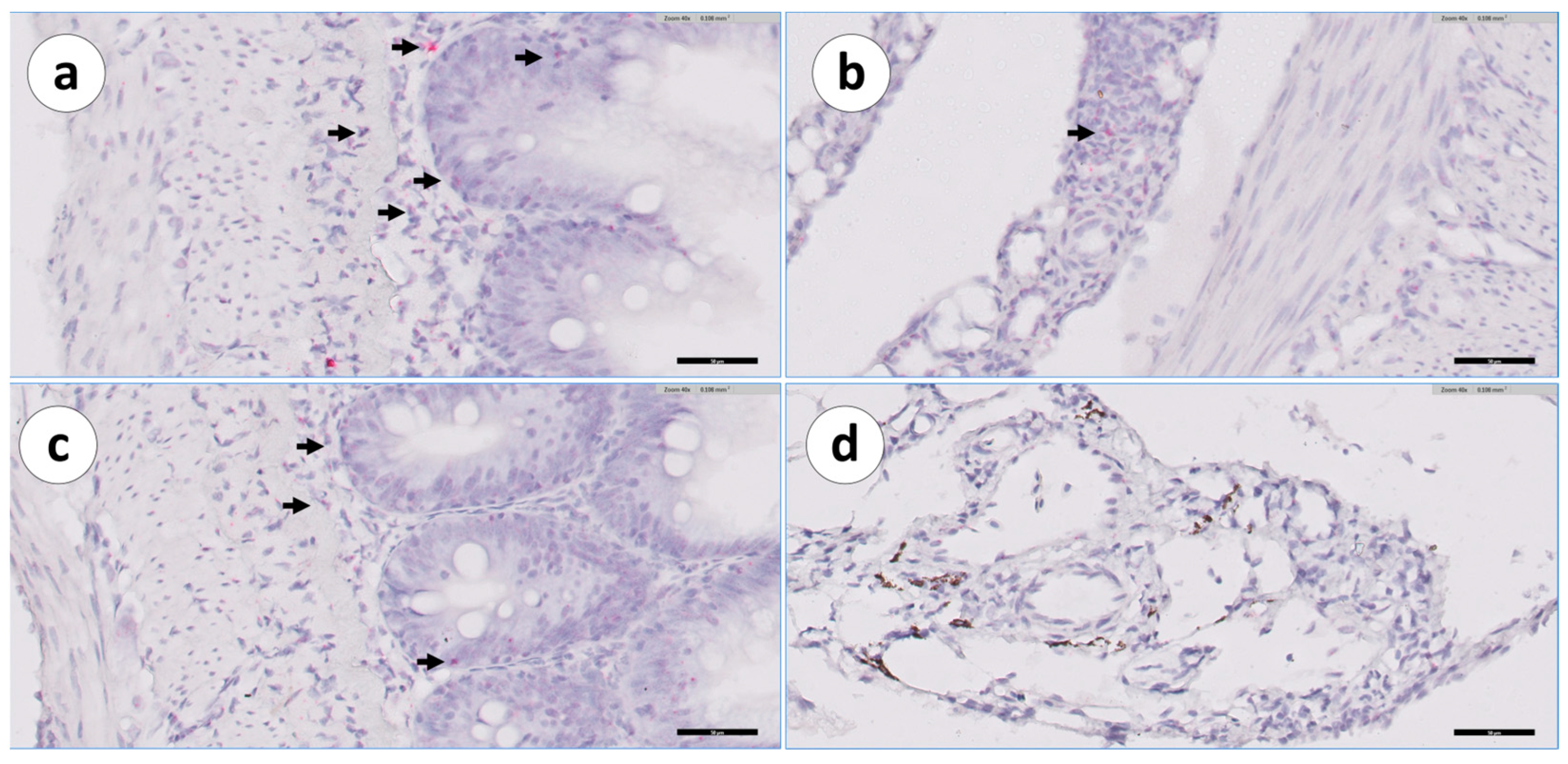 Animals 13 03191 g008