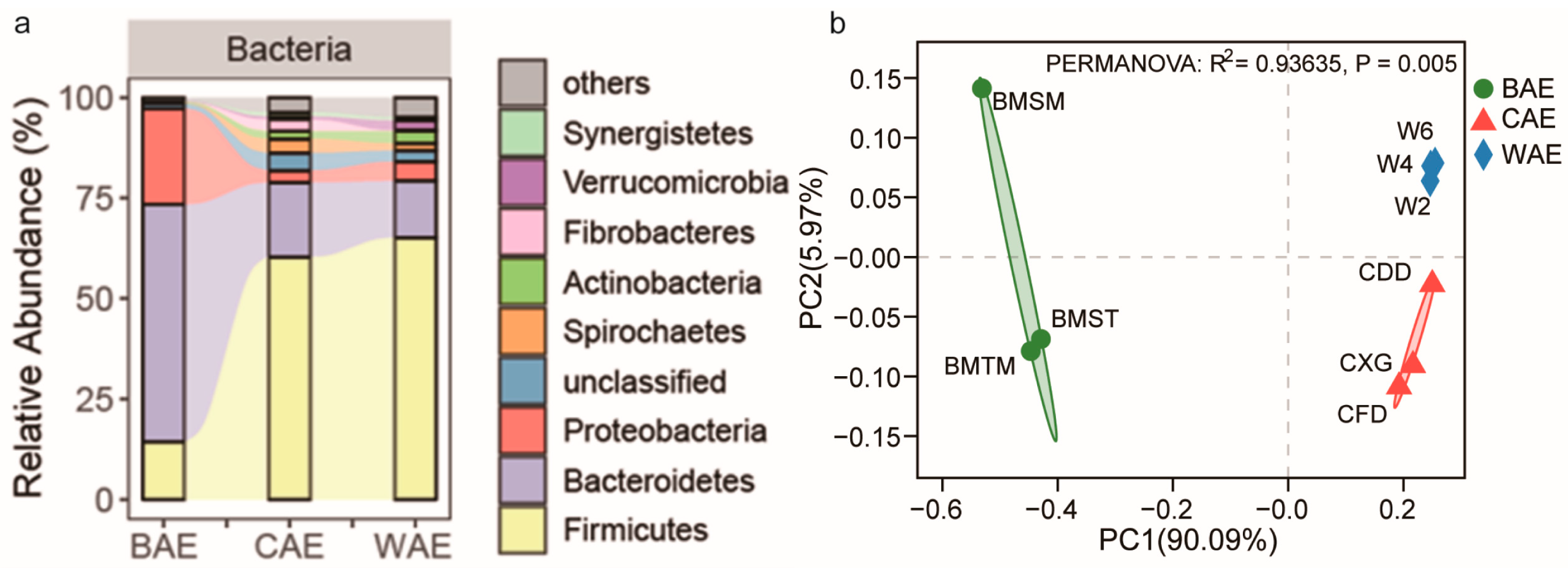 Animals 13 03193 g001