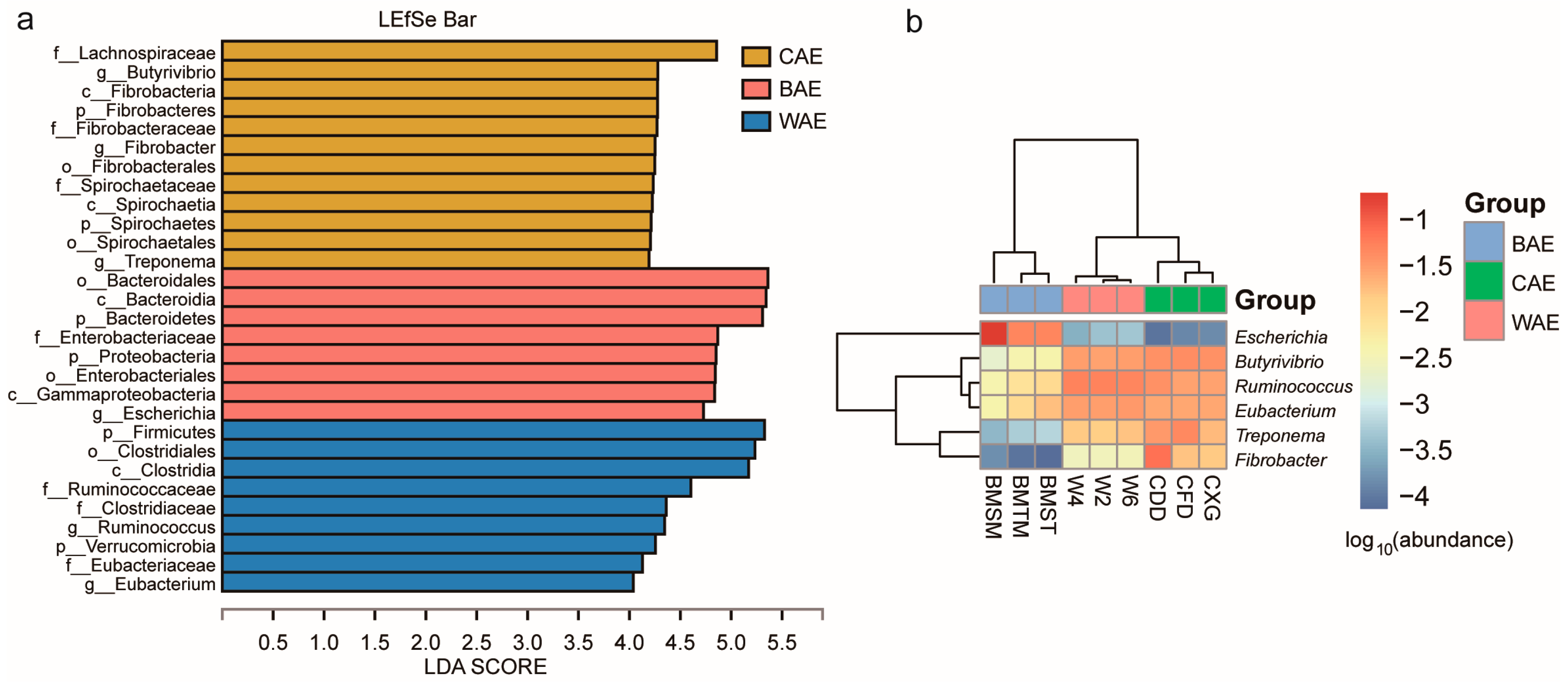 Animals 13 03193 g002
