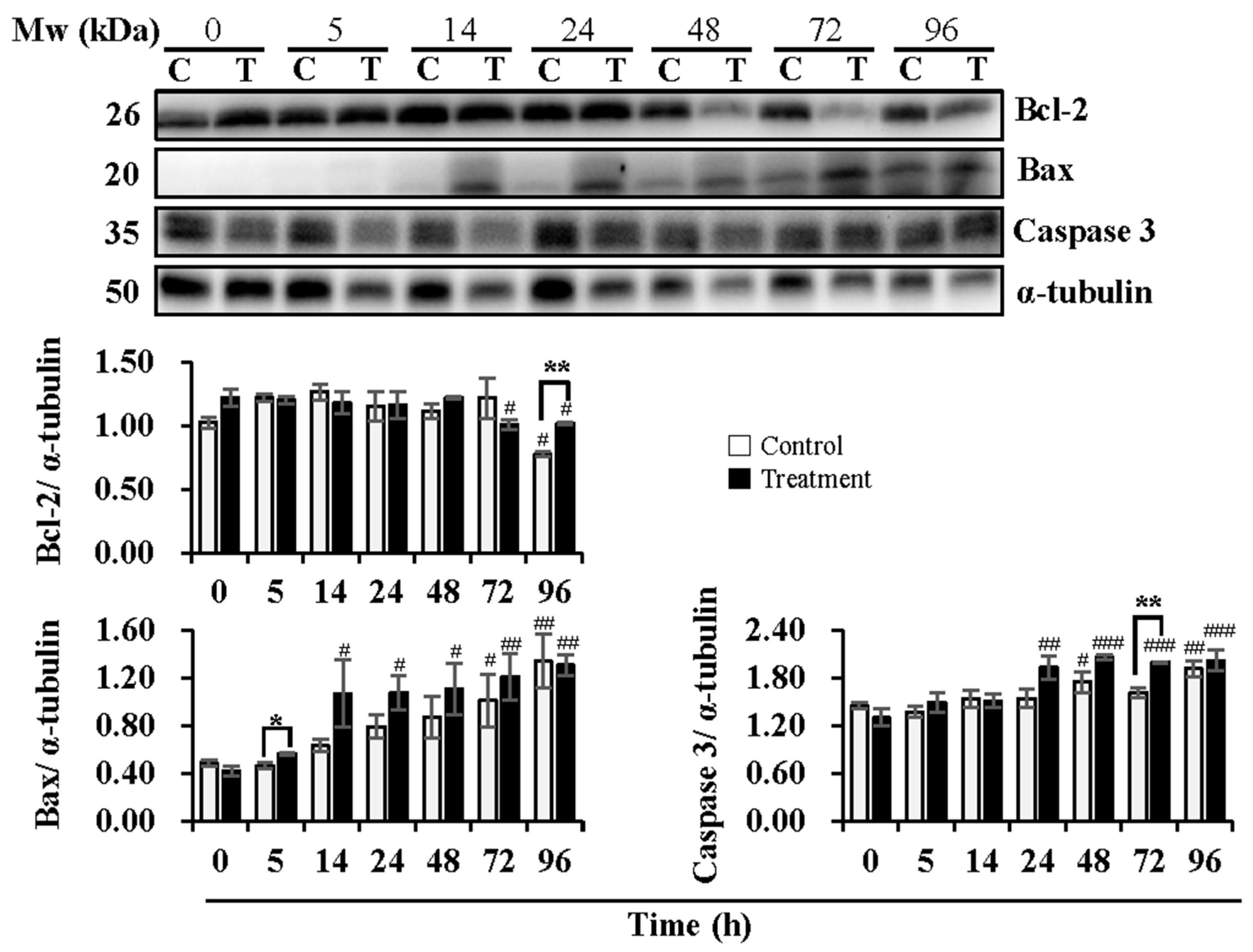 Animals 13 03203 g002