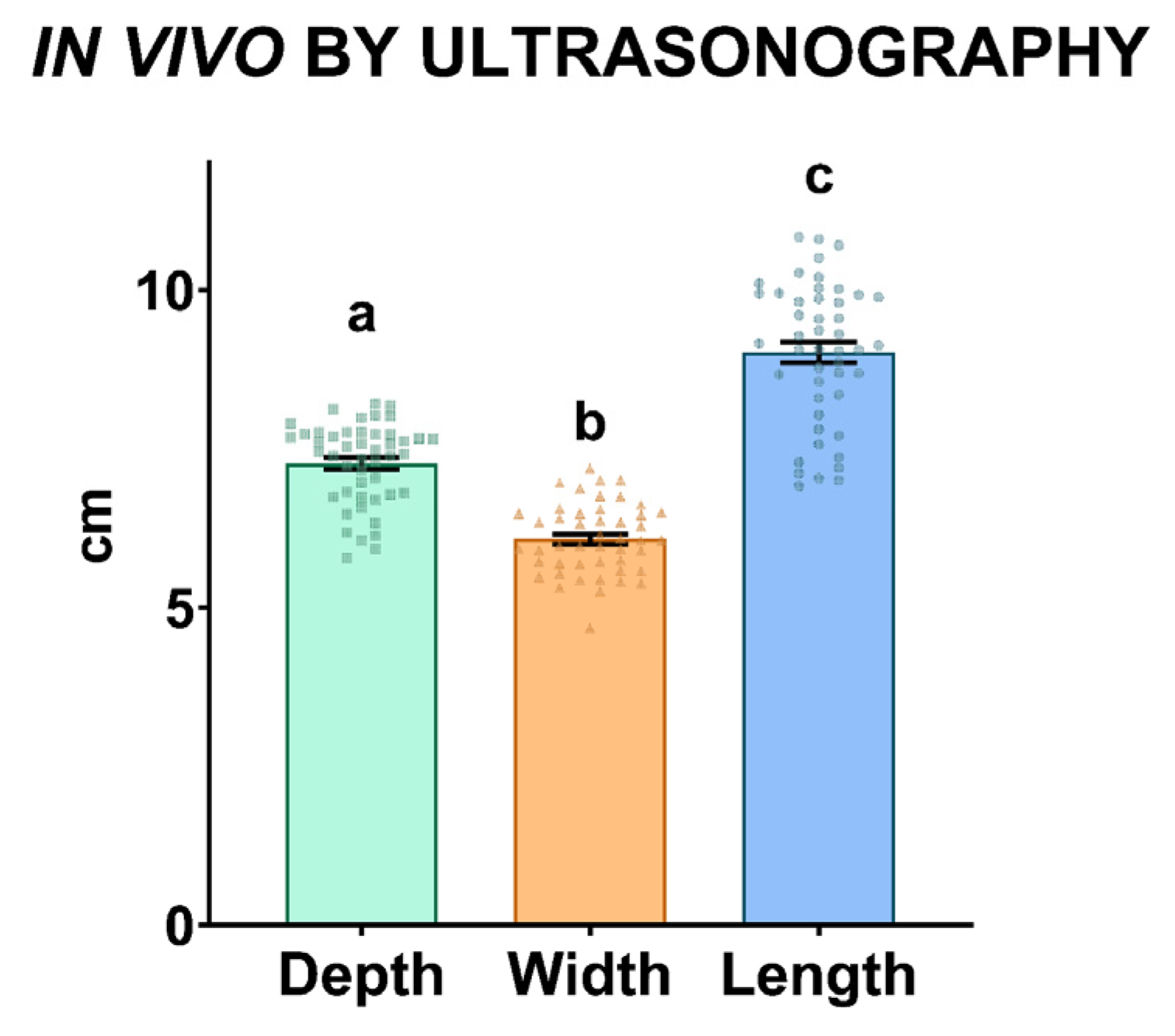 Animals 13 03204 g004 Animals 13 03204 g004