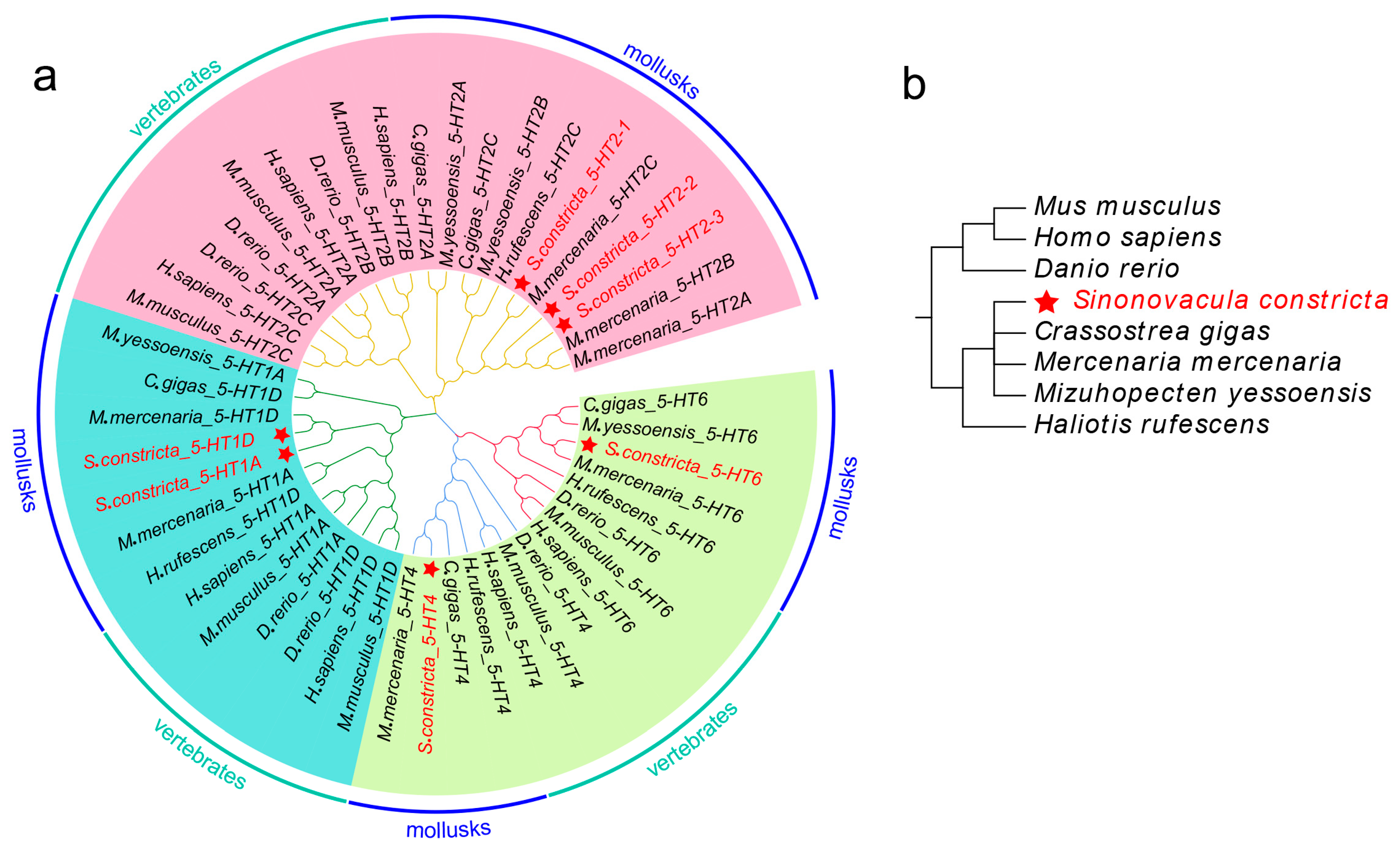 Animals 13 03208 g002