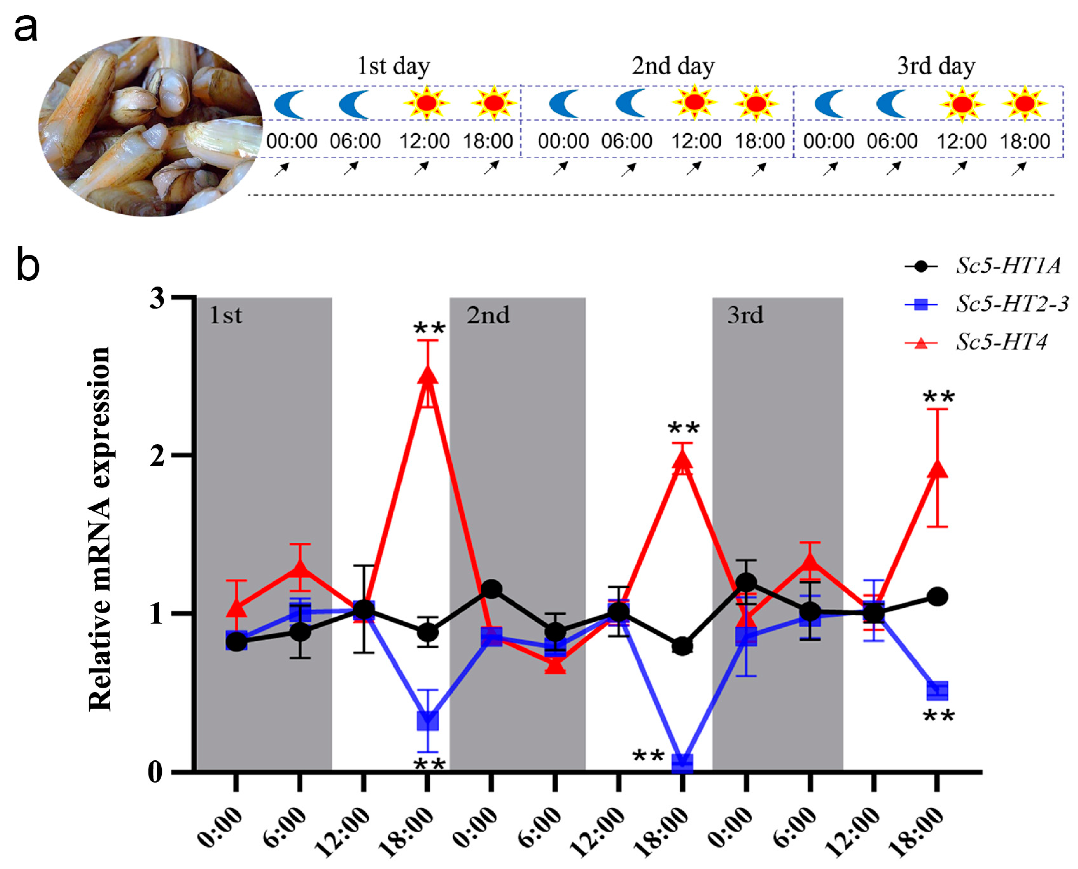 Animals 13 03208 g007