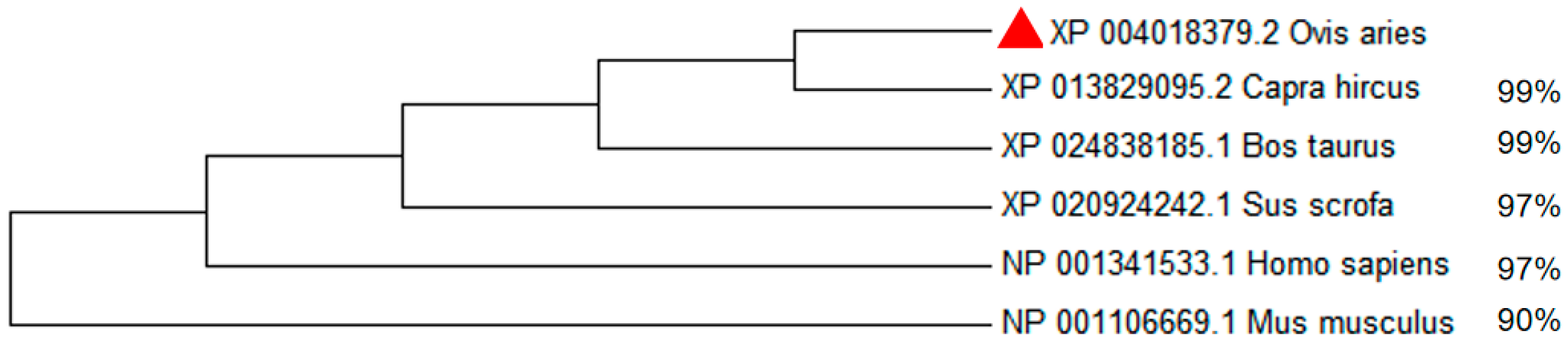 Animals 13 03218 g005