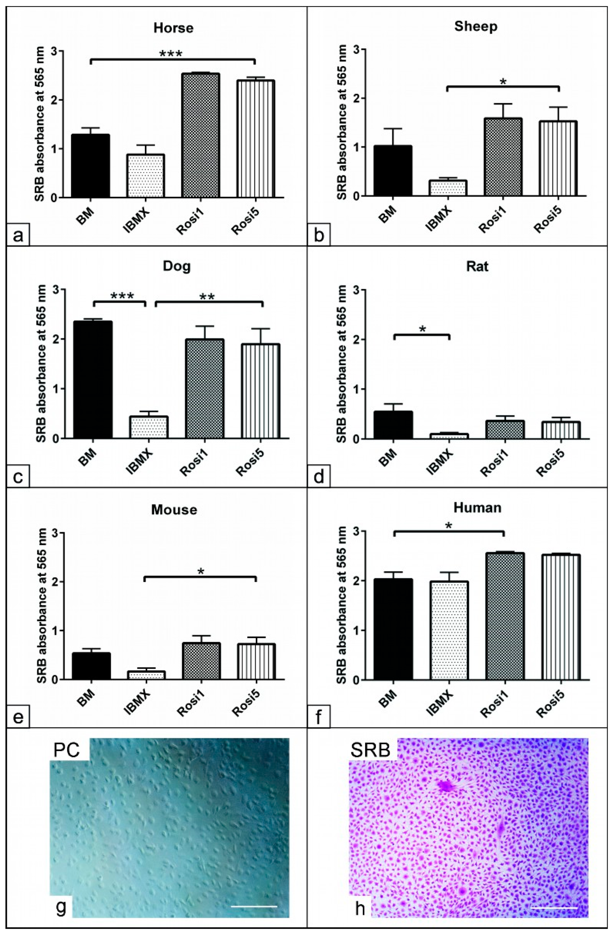 Animals 13 03224 g002 Animals 13 03224 g002
