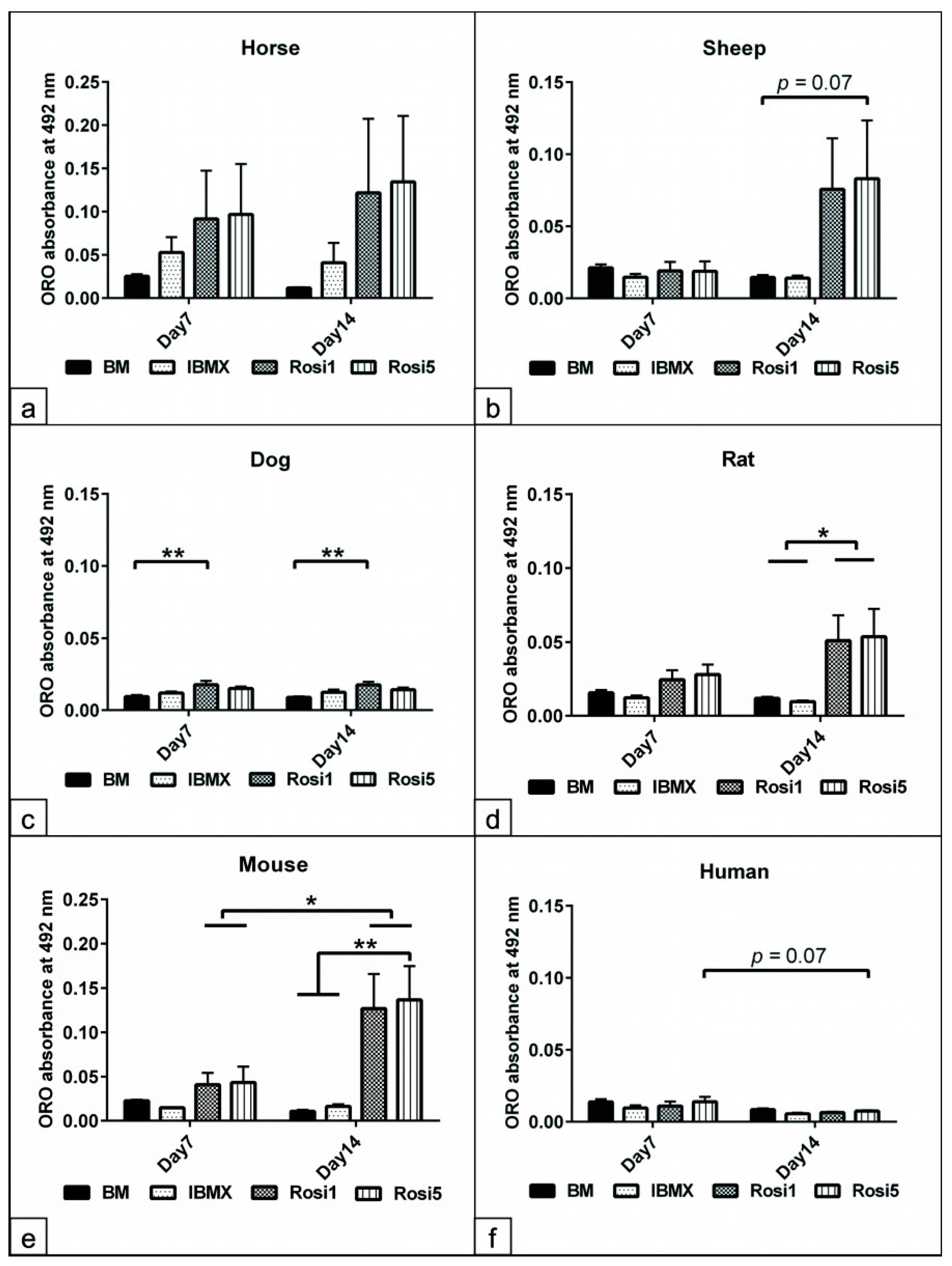 Animals 13 03224 g003 Animals 13 03224 g003