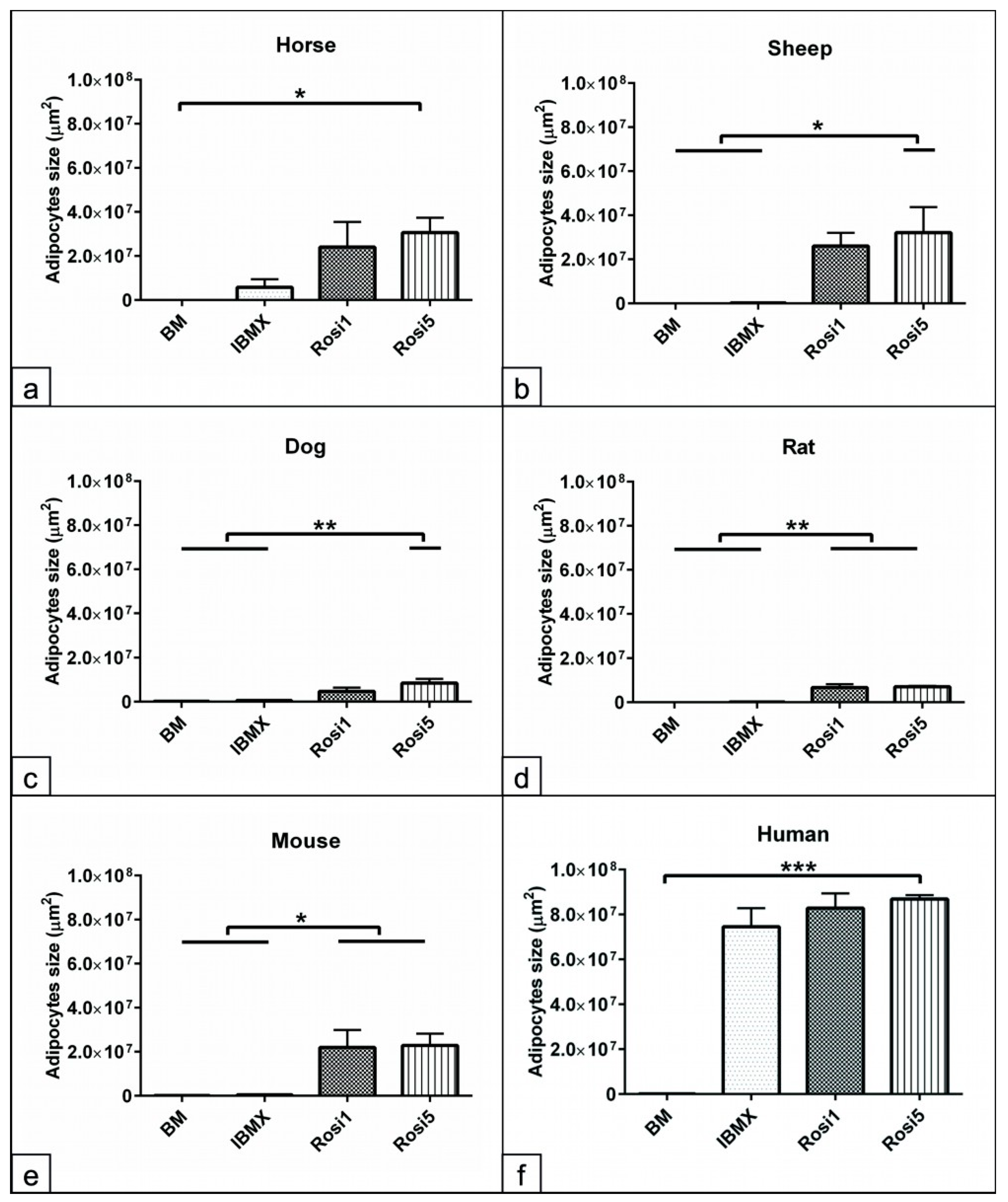 Animals 13 03224 g004 Animals 13 03224 g004