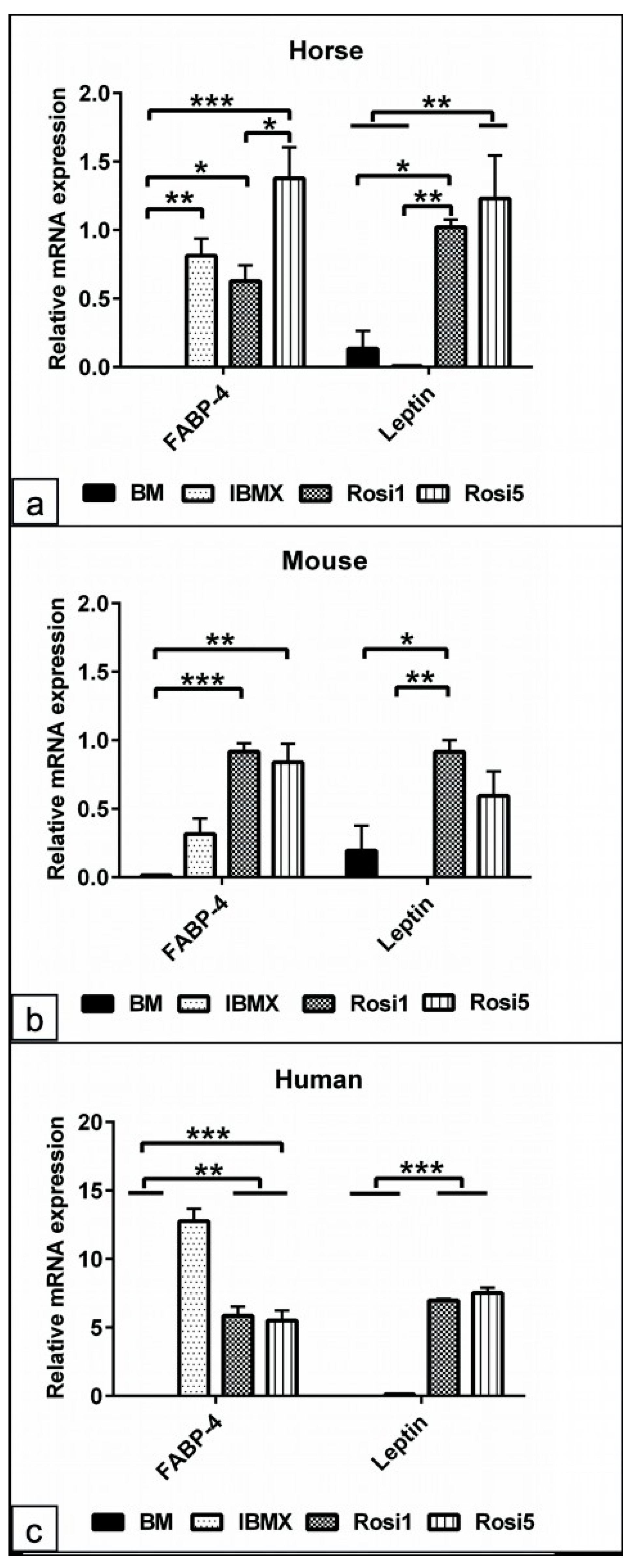 Animals 13 03224 g005 Animals 13 03224 g005