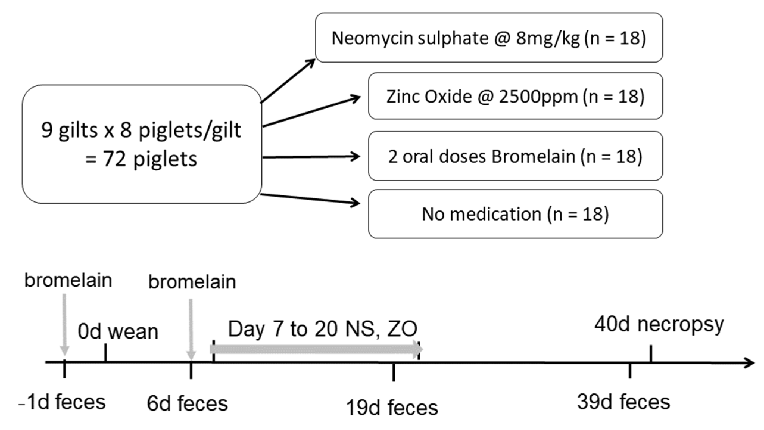 Animals 13 03229 g001