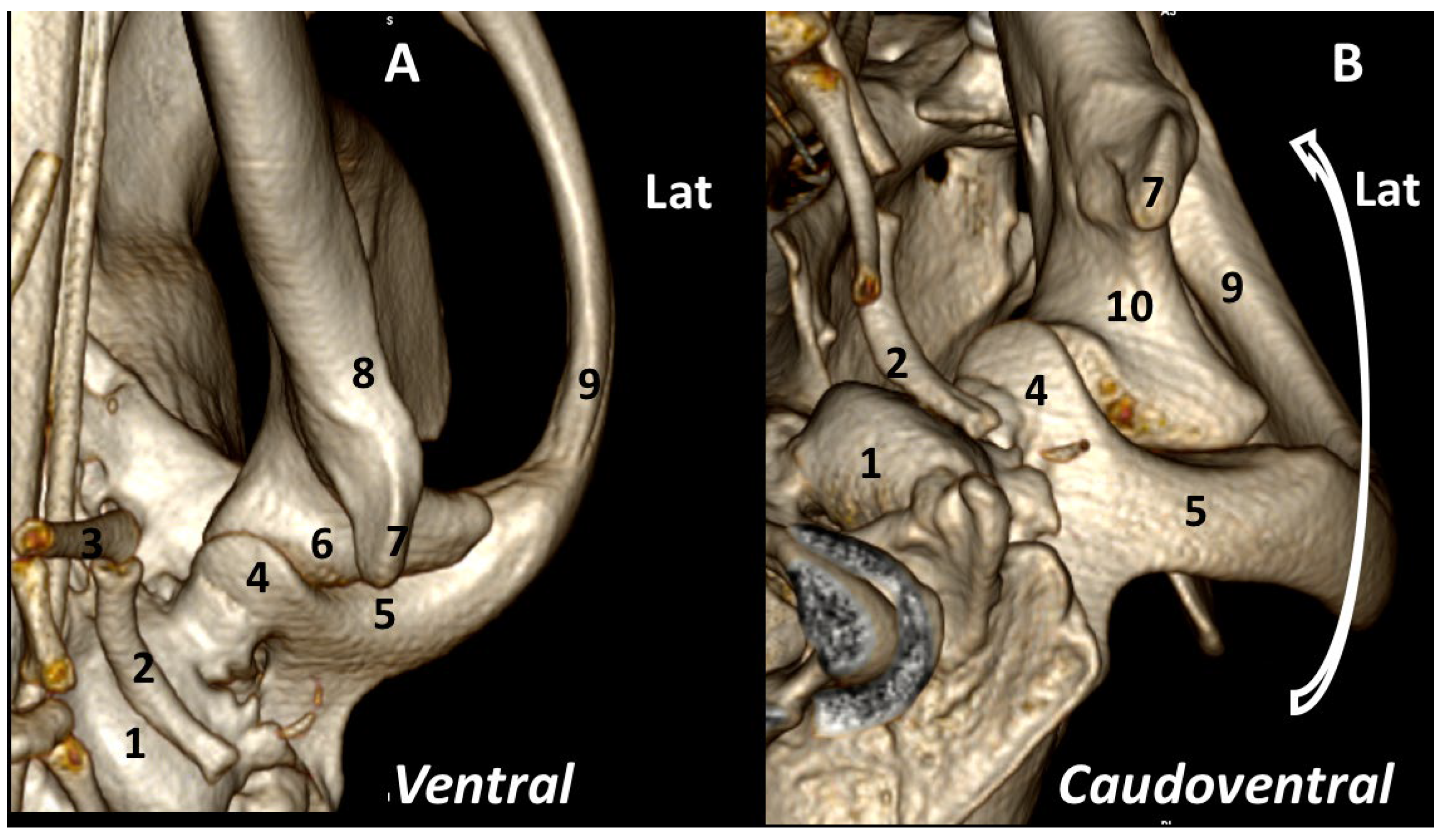 Animals 13 03231 g005