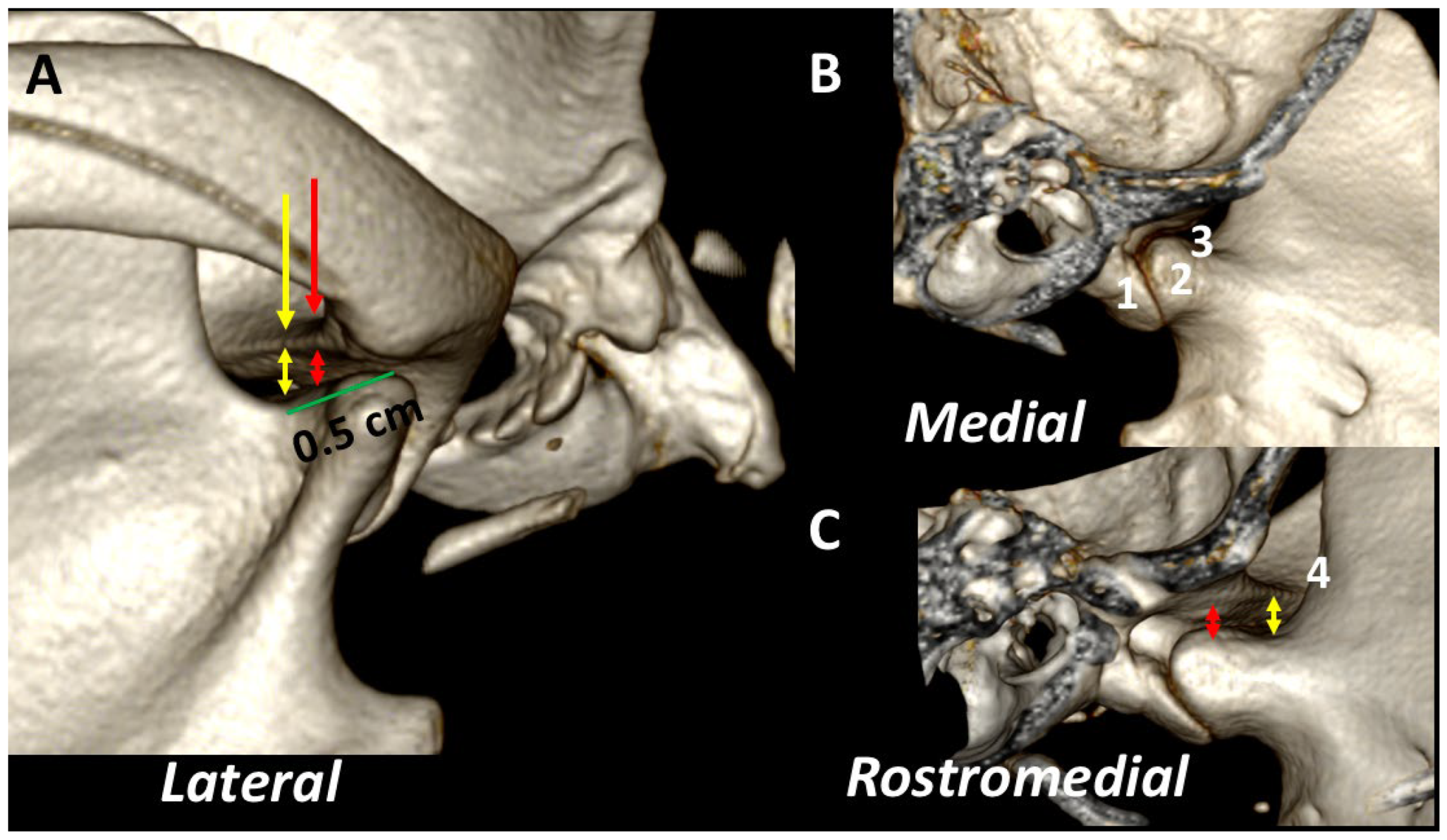 Animals 13 03231 g010