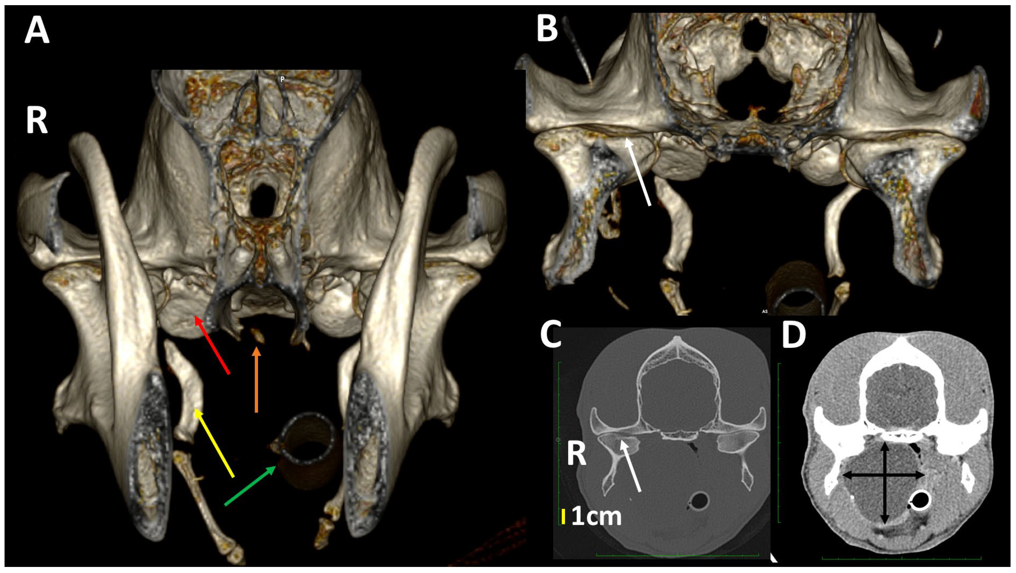 Animals 13 03231 g016