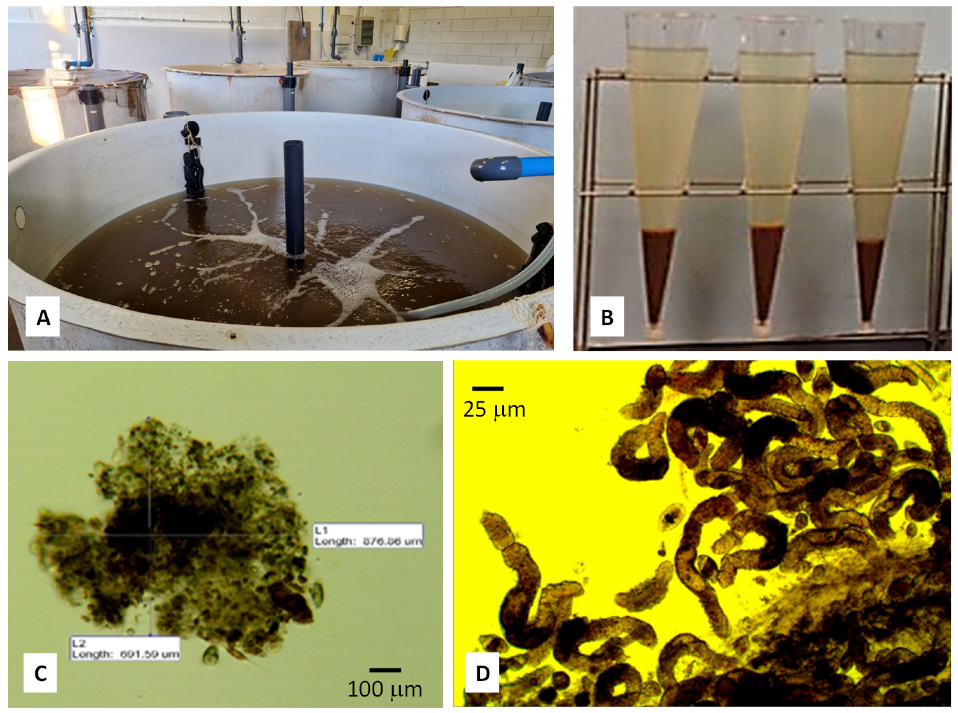 Animals 13 03234 g001