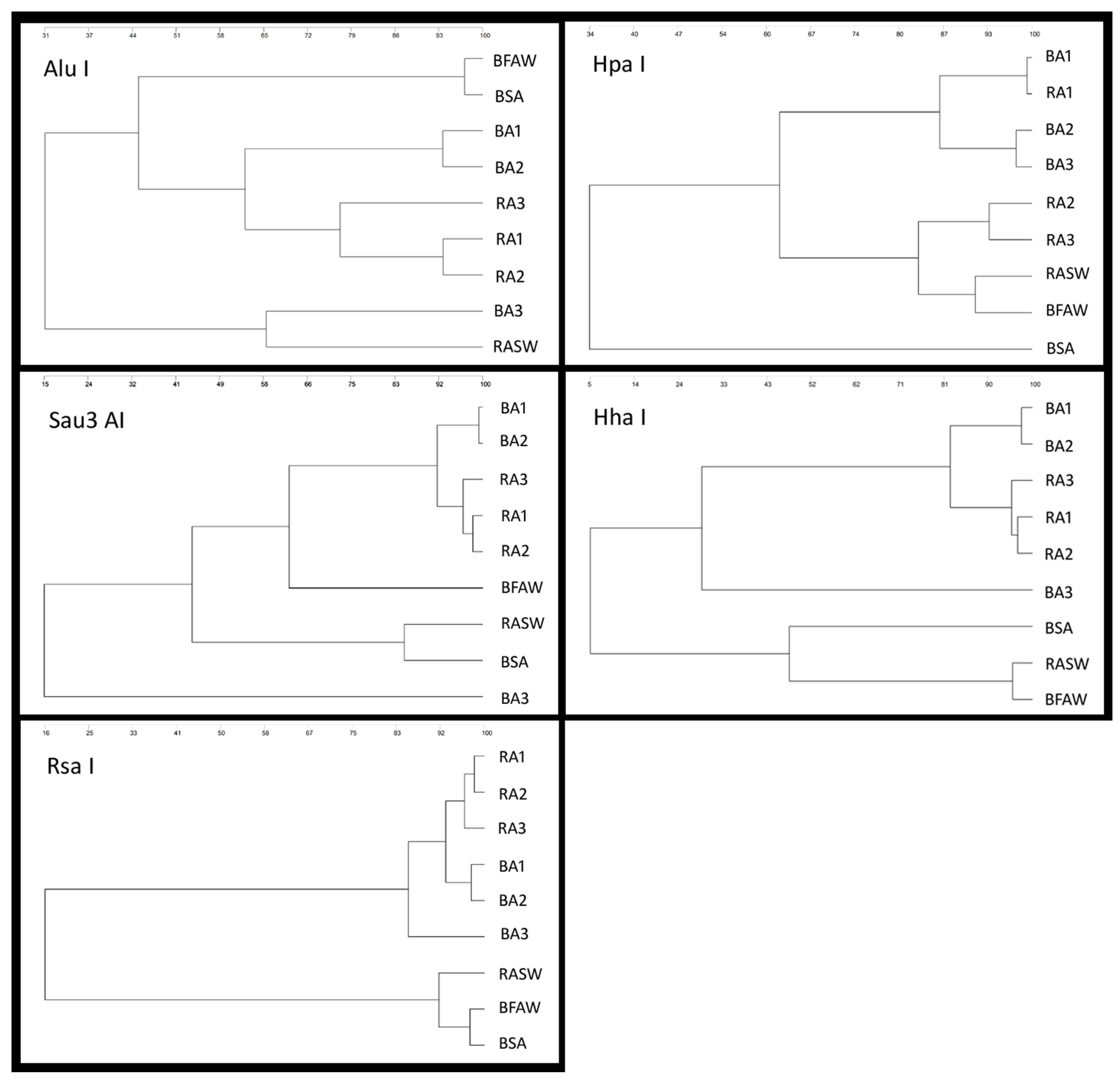 Animals 13 03234 g002