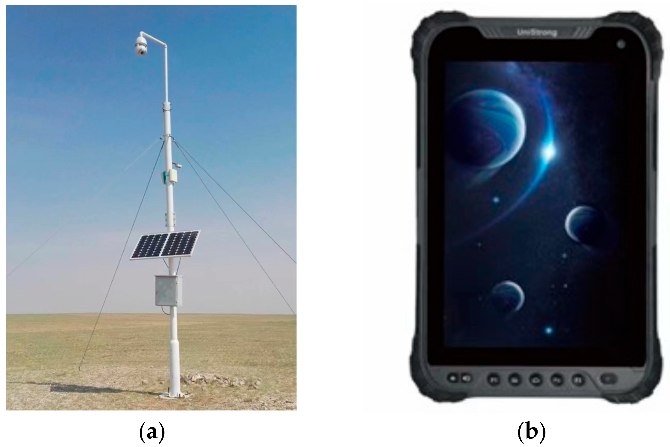 Animals 13 03242 g001