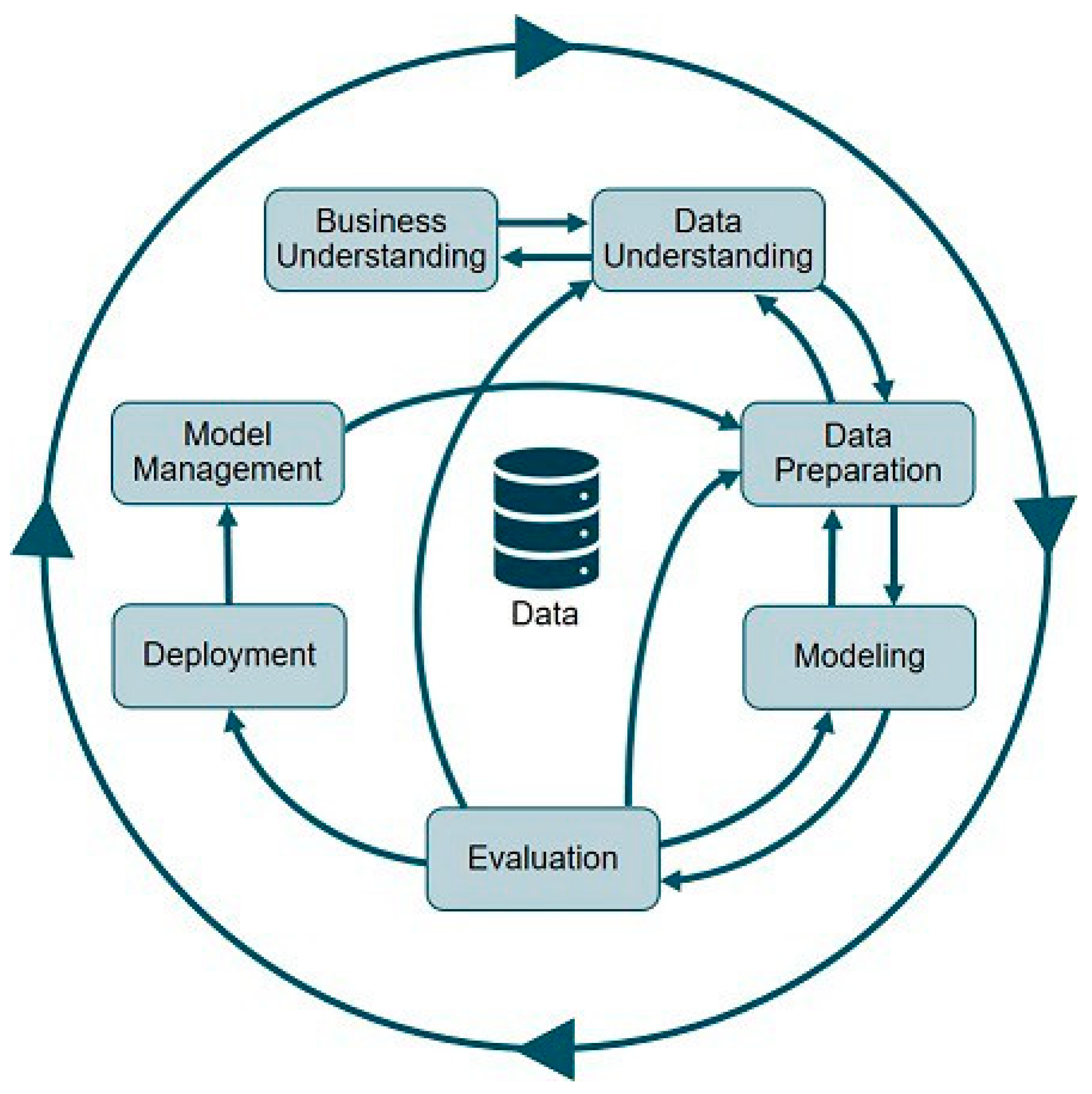 Animals 13 03248 g001