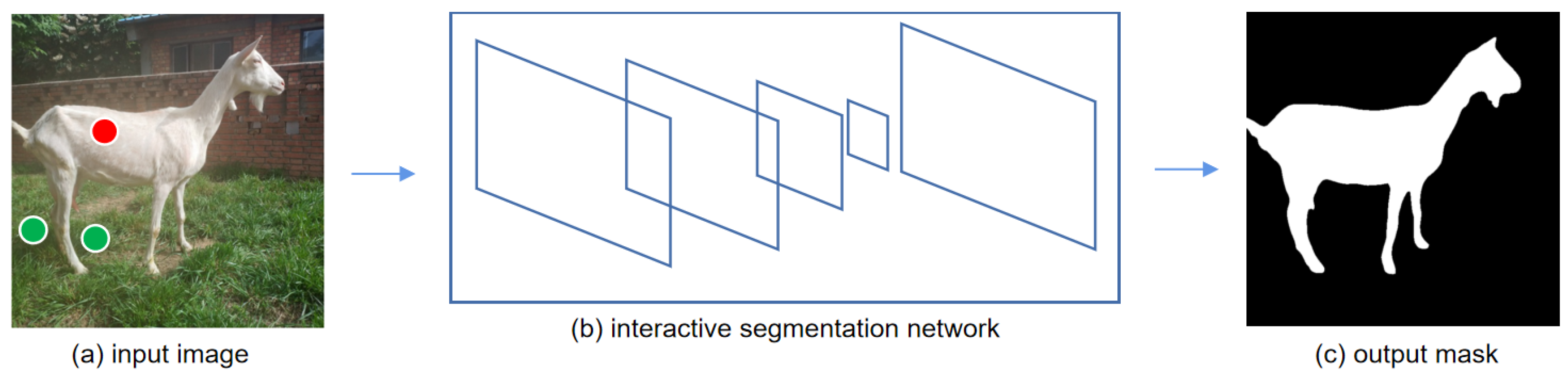 Animals 13 03250 g002