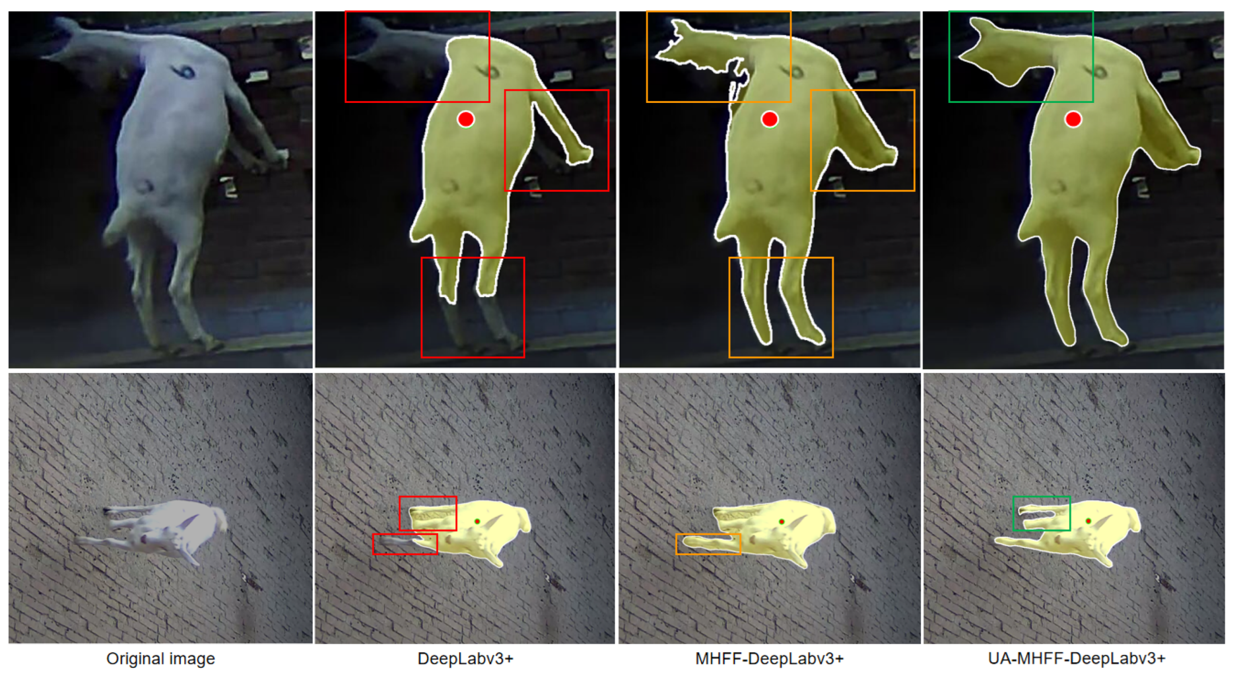 Animals 13 03250 g008