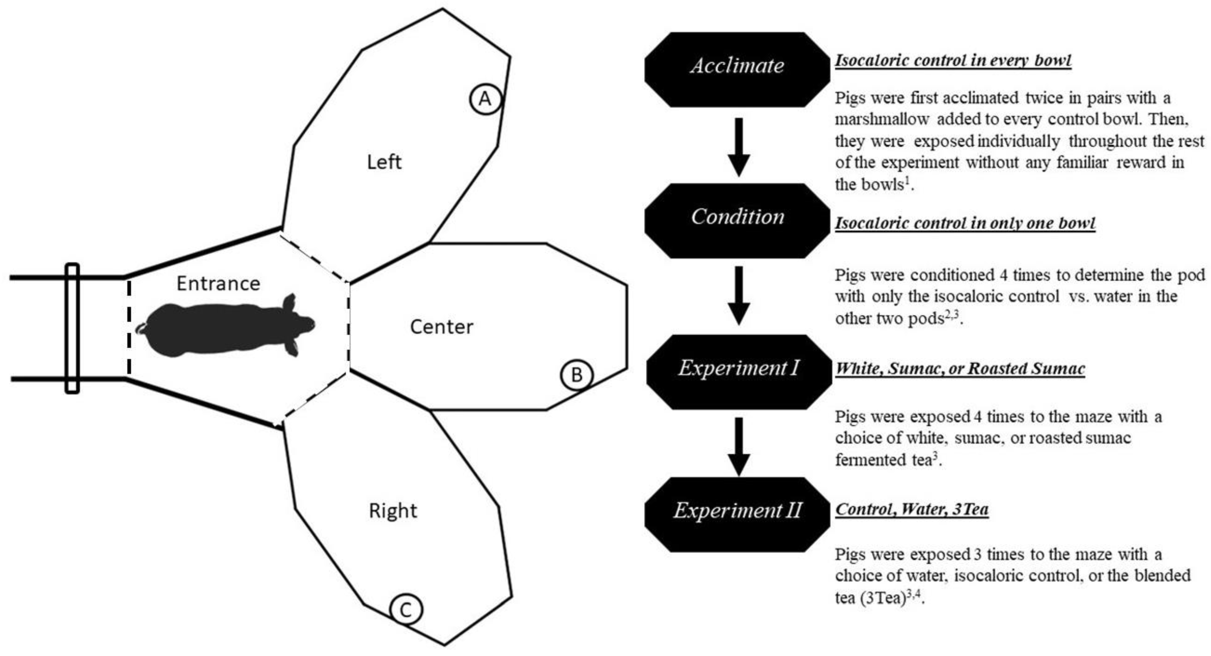 Animals 13 03253 g002