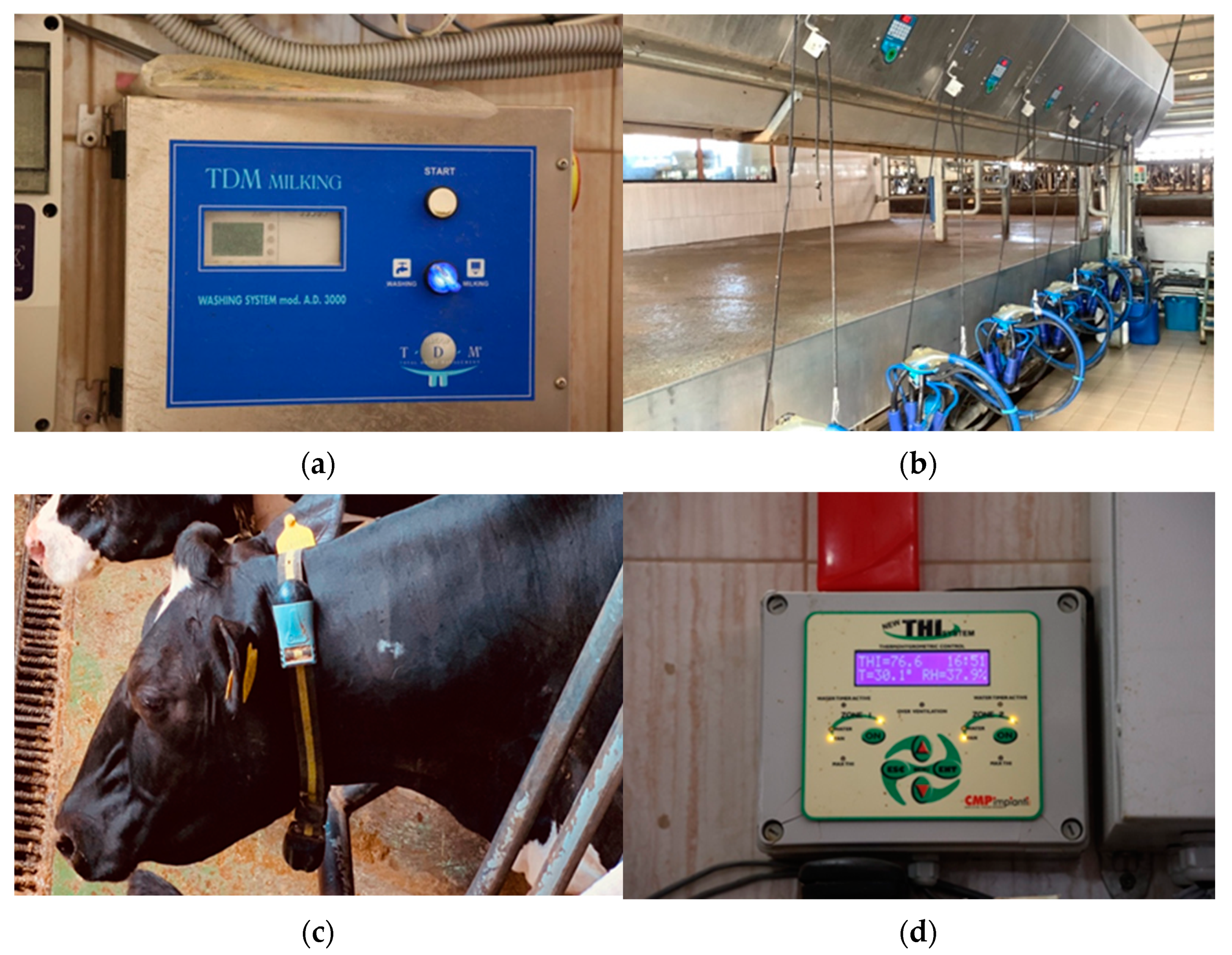 Animals 13 03254 g001