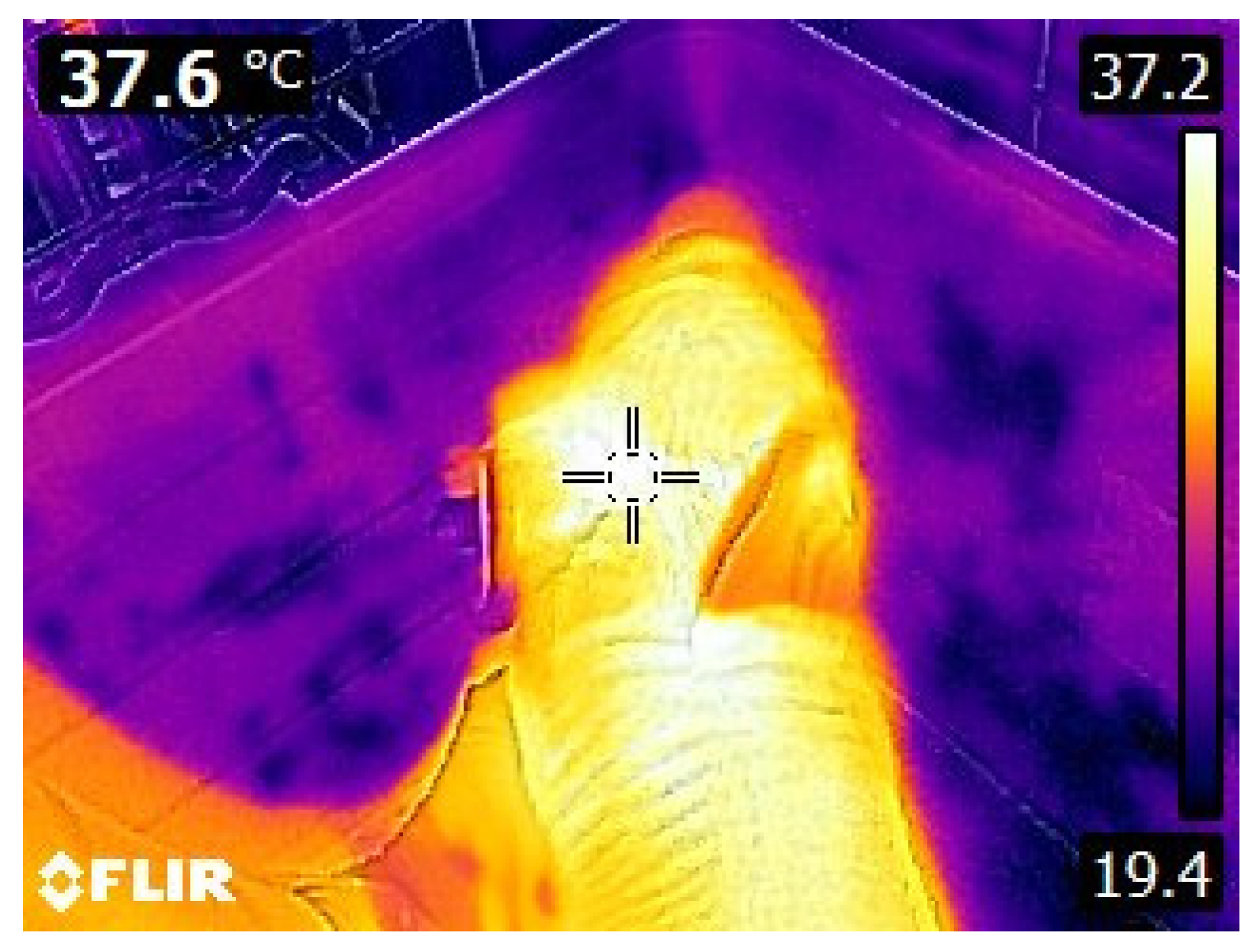 Animals 13 03259 g001