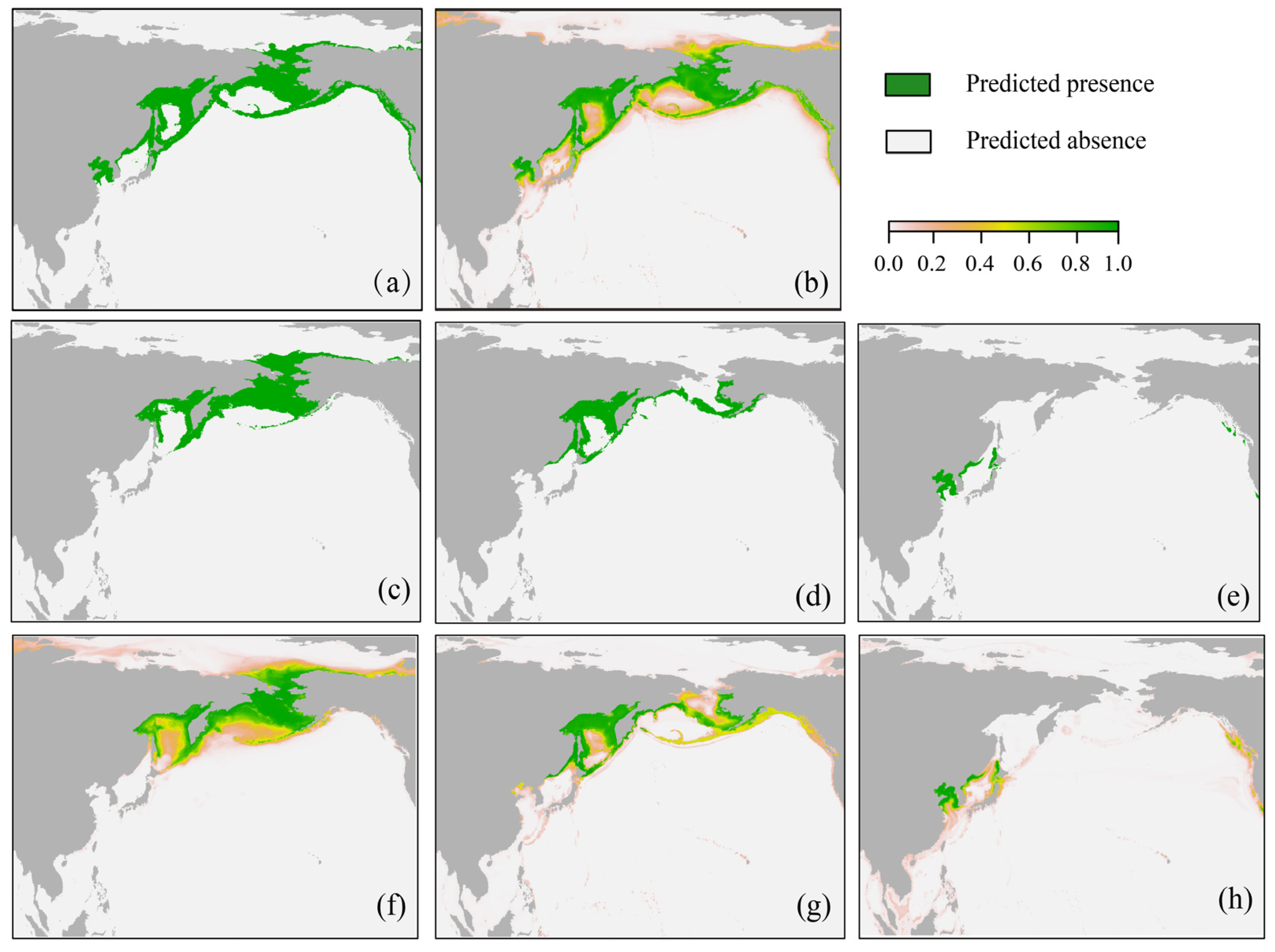 Animals 13 03260 g004