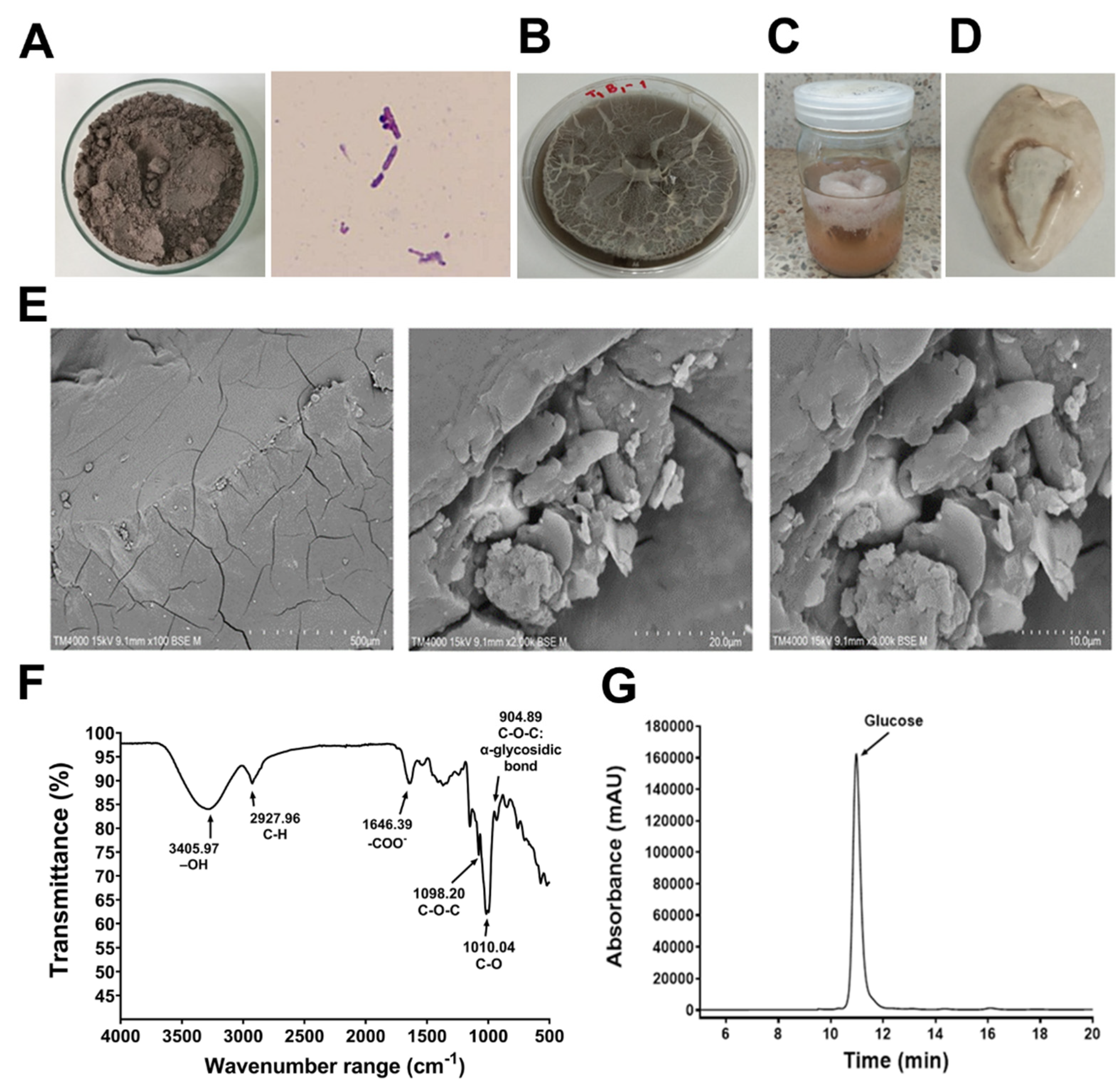 Animals 13 03262 g001