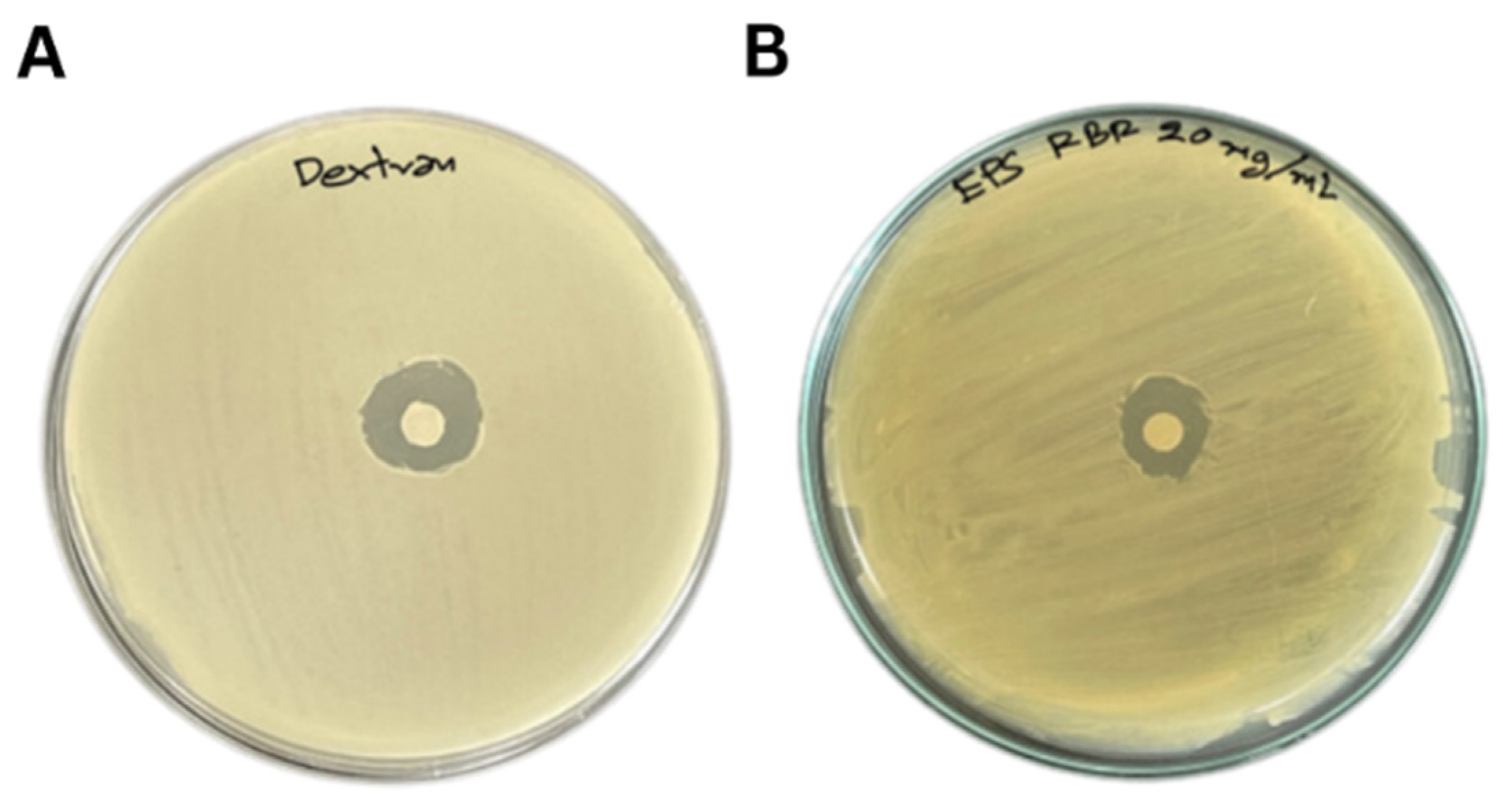 Animals 13 03262 g002